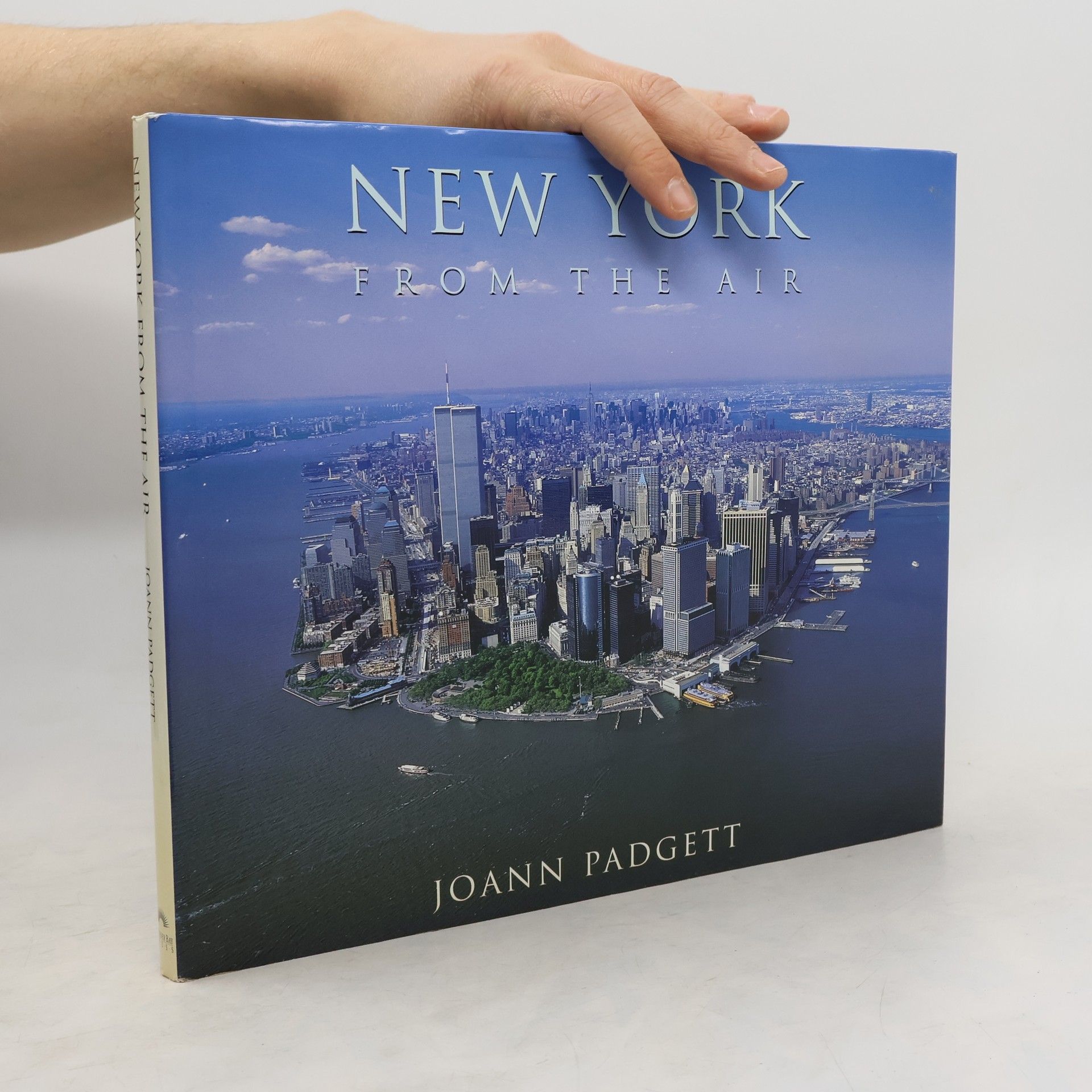 Joann Padgett New York from the Air