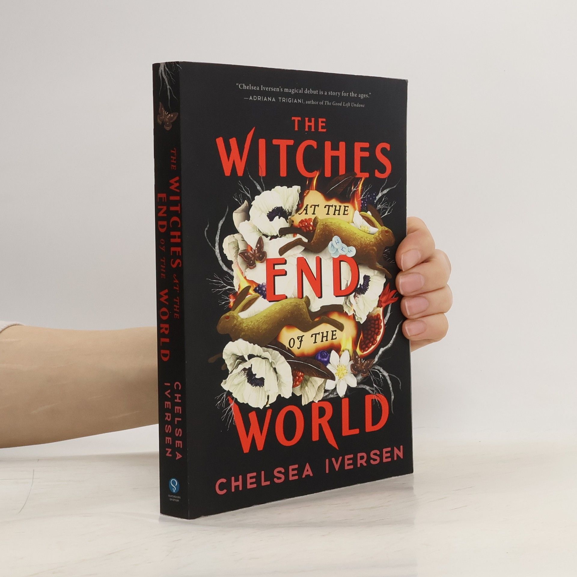 Chelsea Iversen The Witches at the End of the World