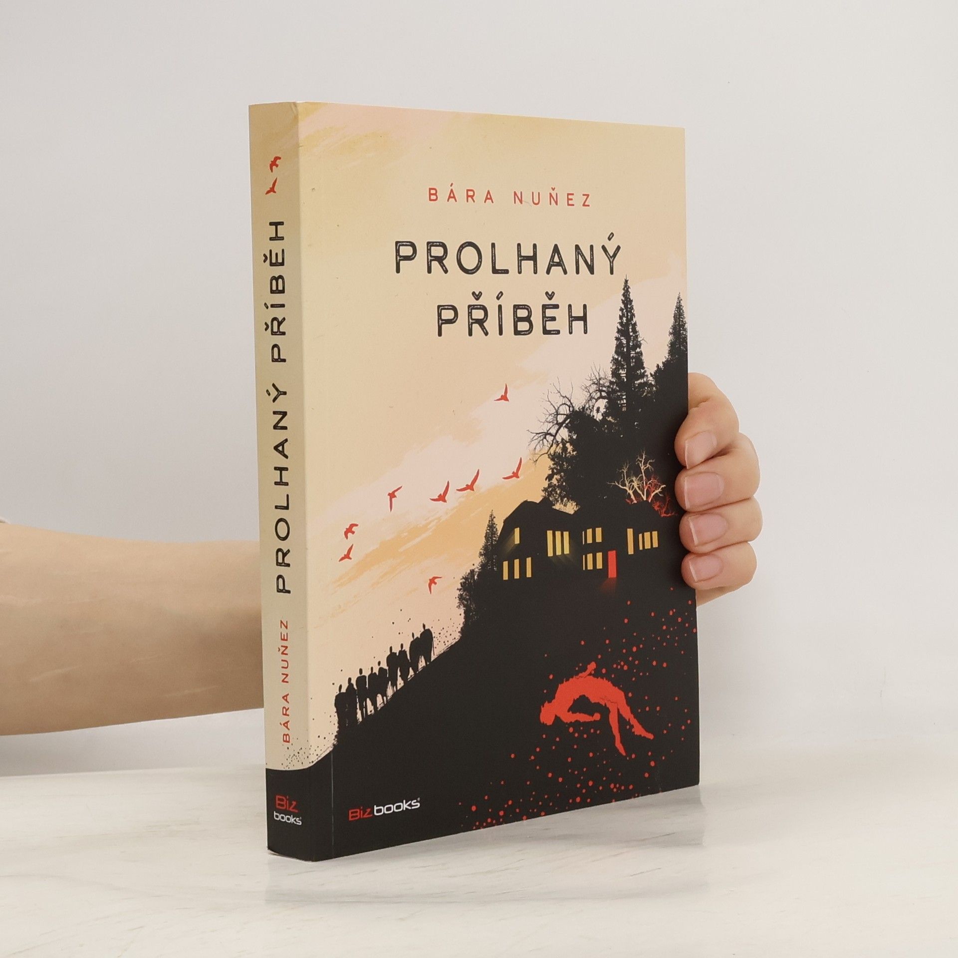 Bára Nuňez Prolhaný příběh