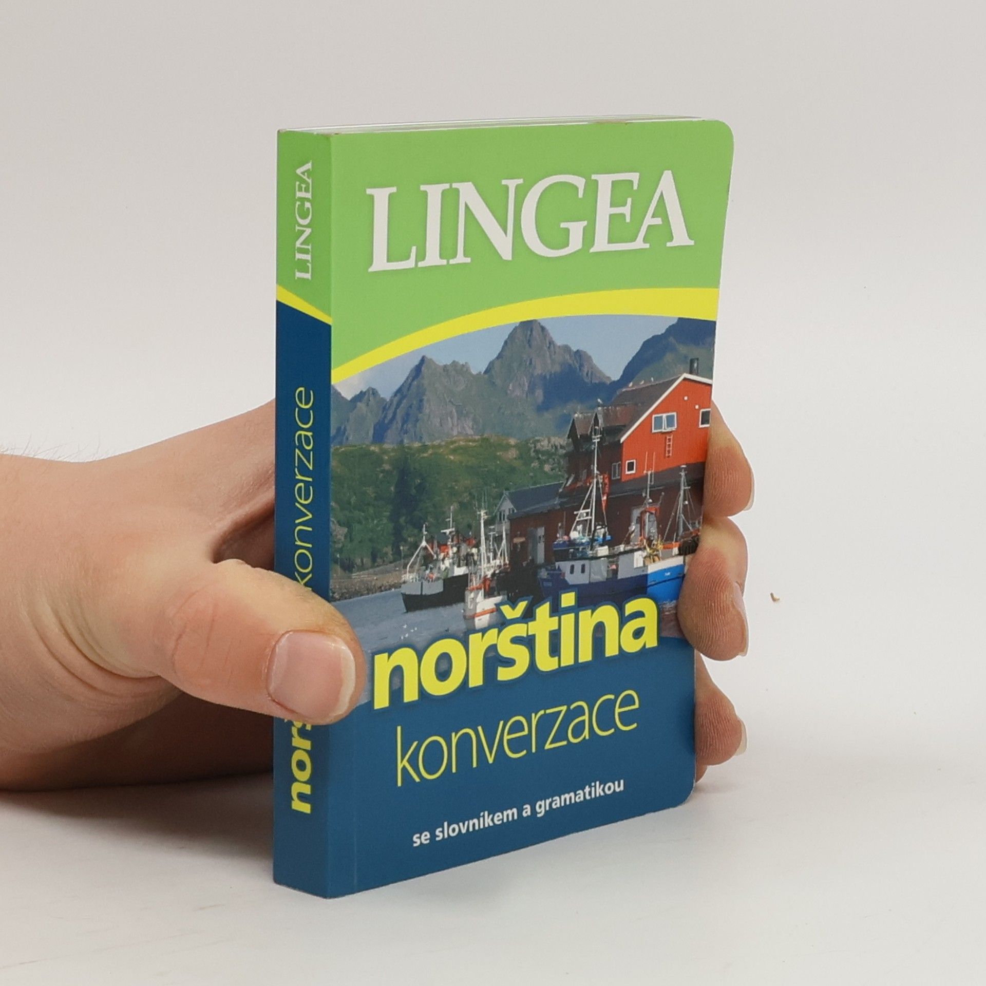 Collectif d'auteurs Norština. Konverzace