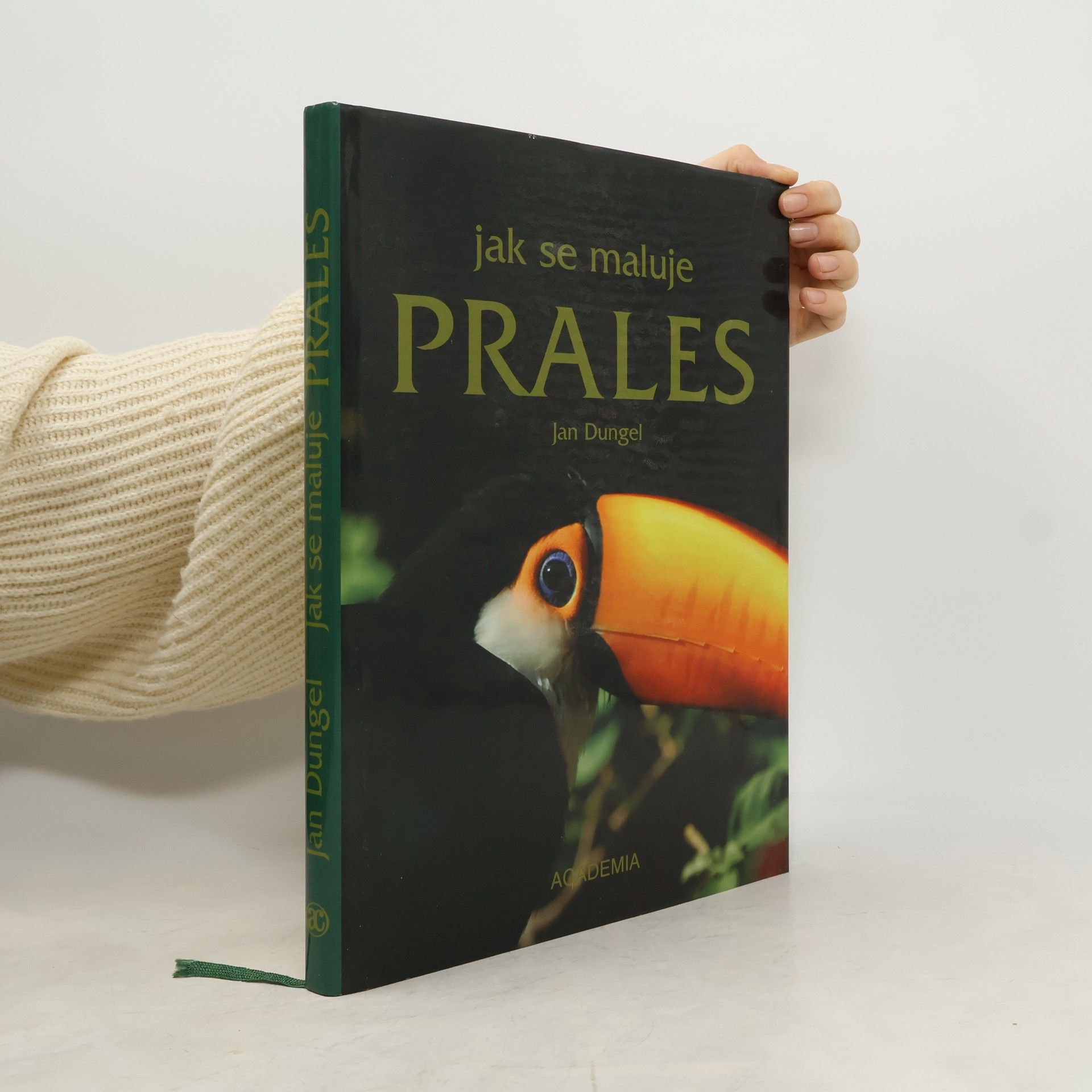 Jan Dungel Jak se maluje prales