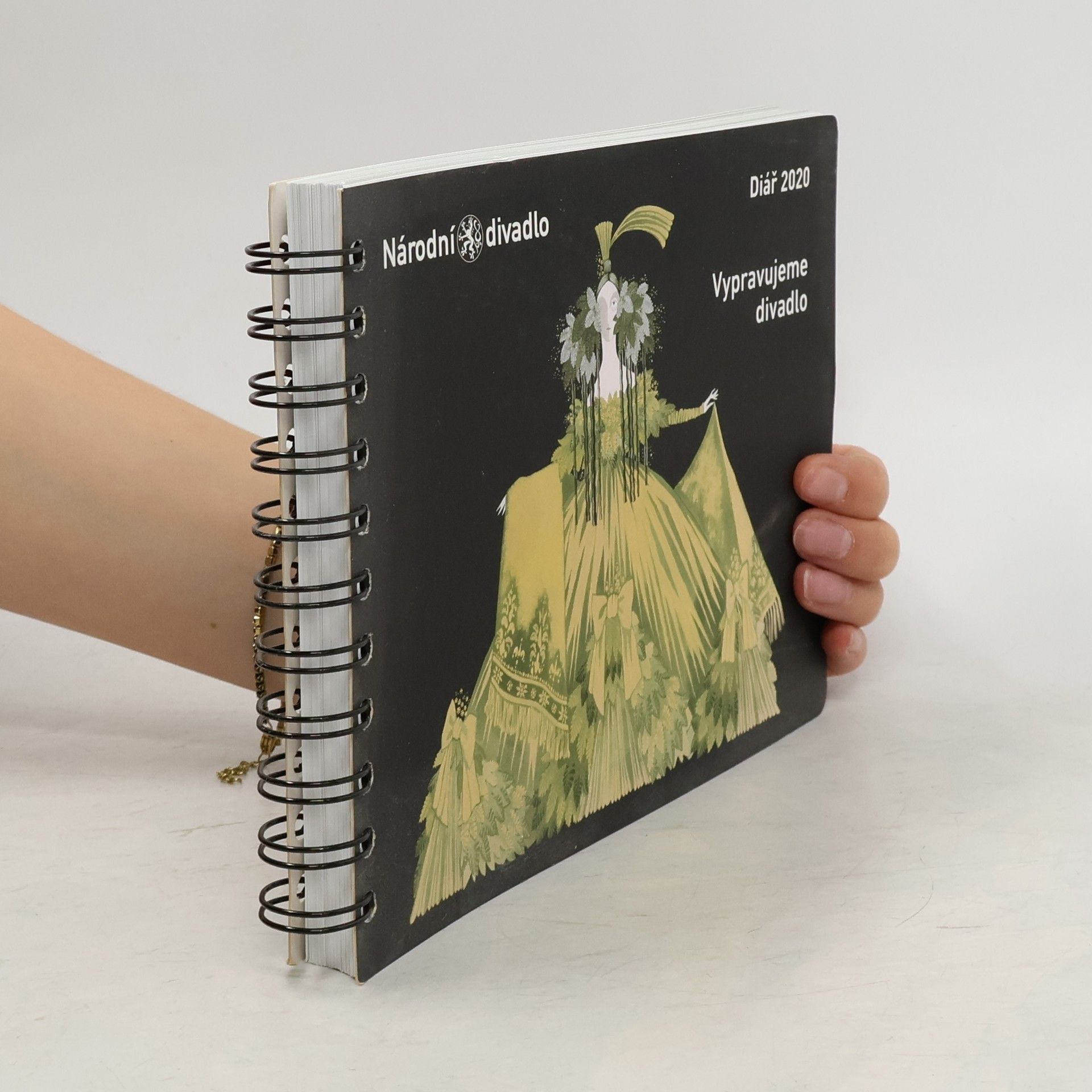 Dana Šťastná Flídrová Vypravujeme divadlo 2020