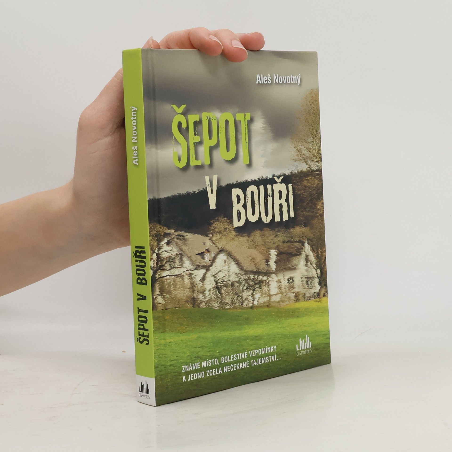 Aleš Novotný Šepot v bouři