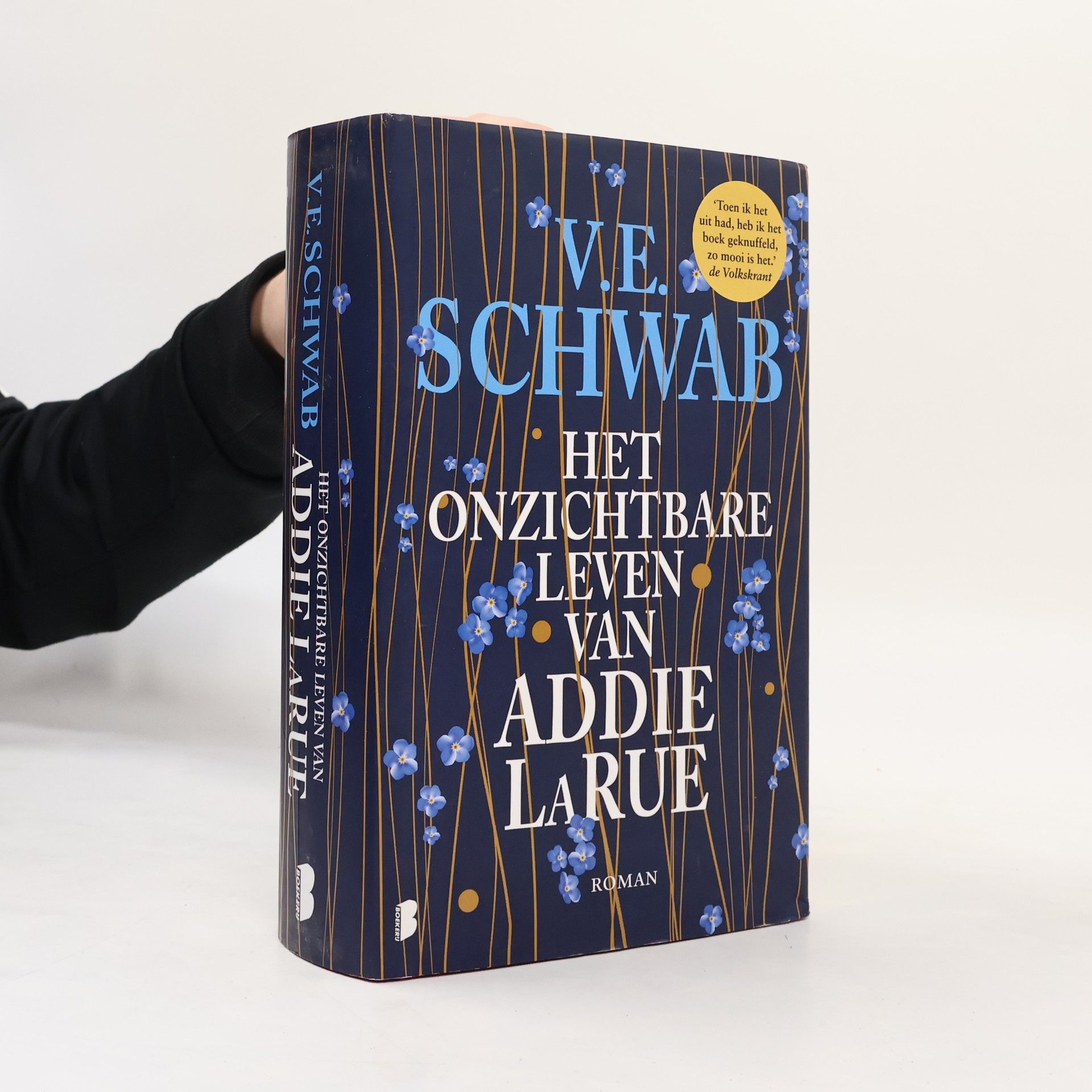 V. E. Schwab Het onzichtbare leven van Addie LaRue