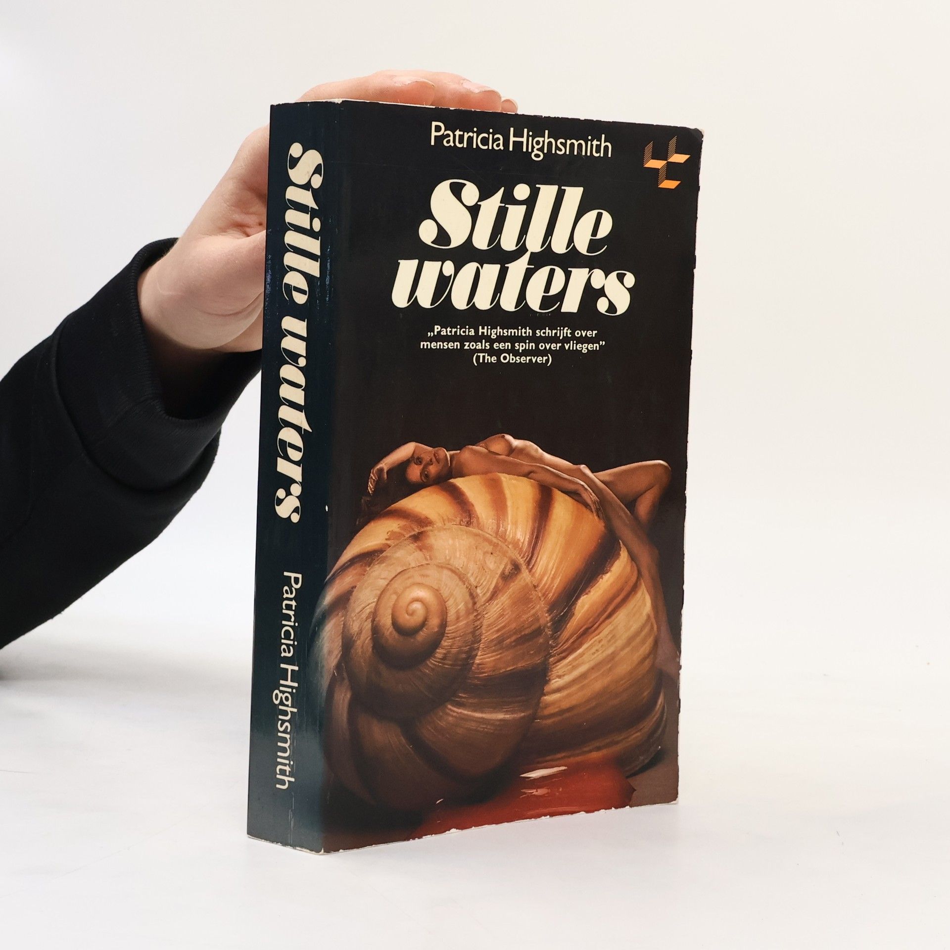 Patricia Highsmith Stille waters