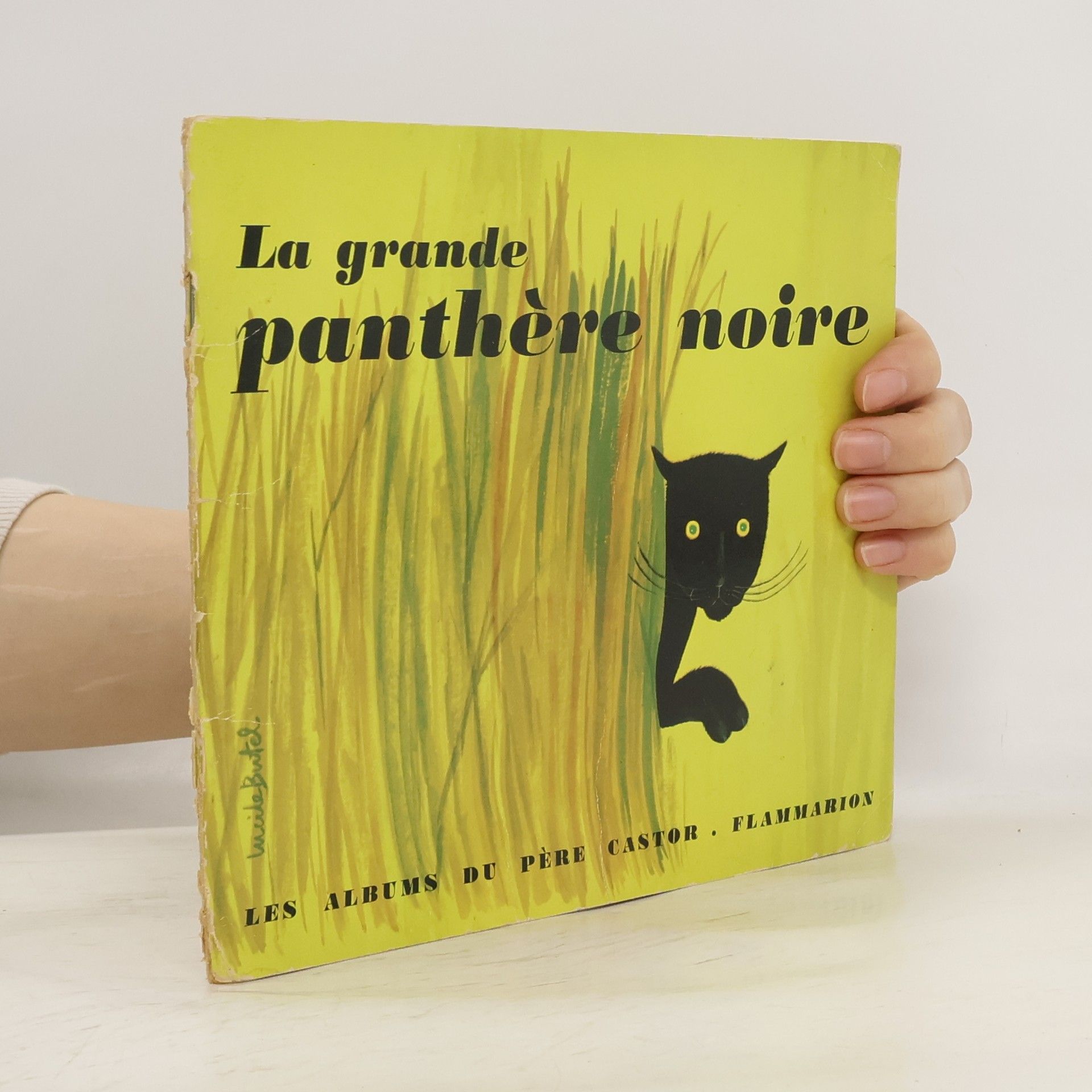 Lucile Butel La grande panthère noire