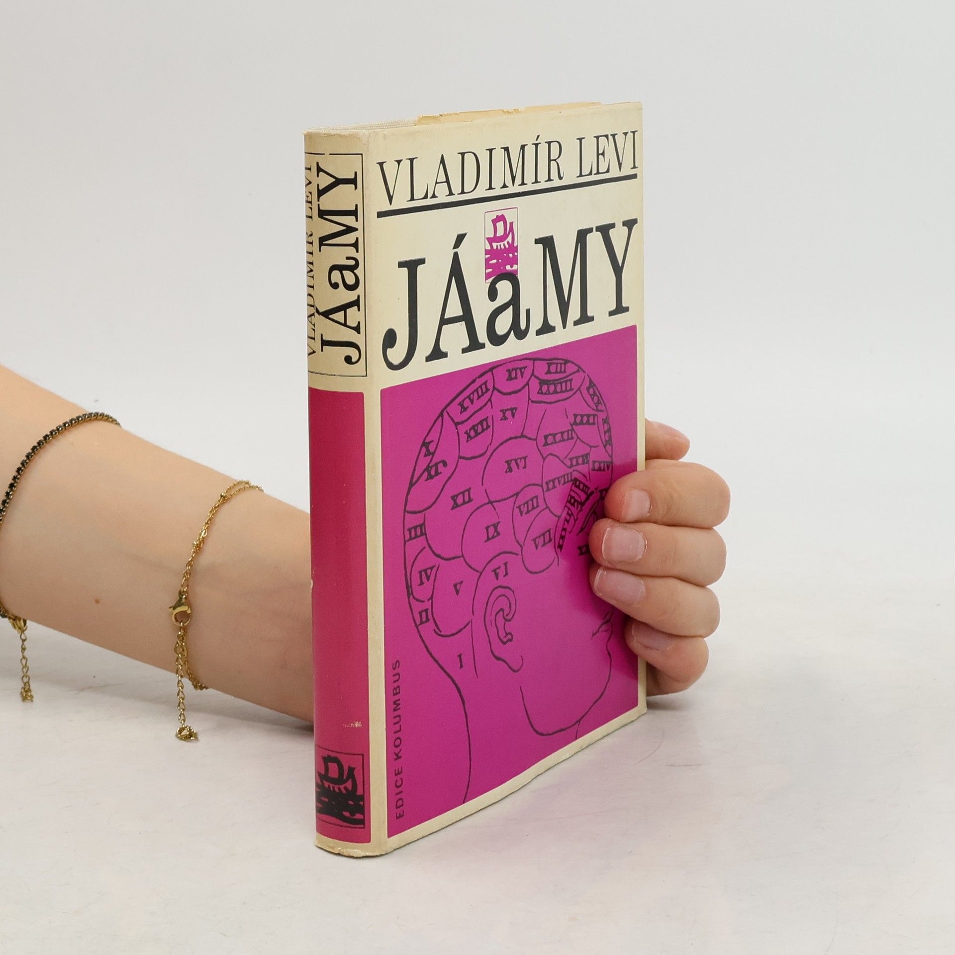 Vladimír Levi Já a my