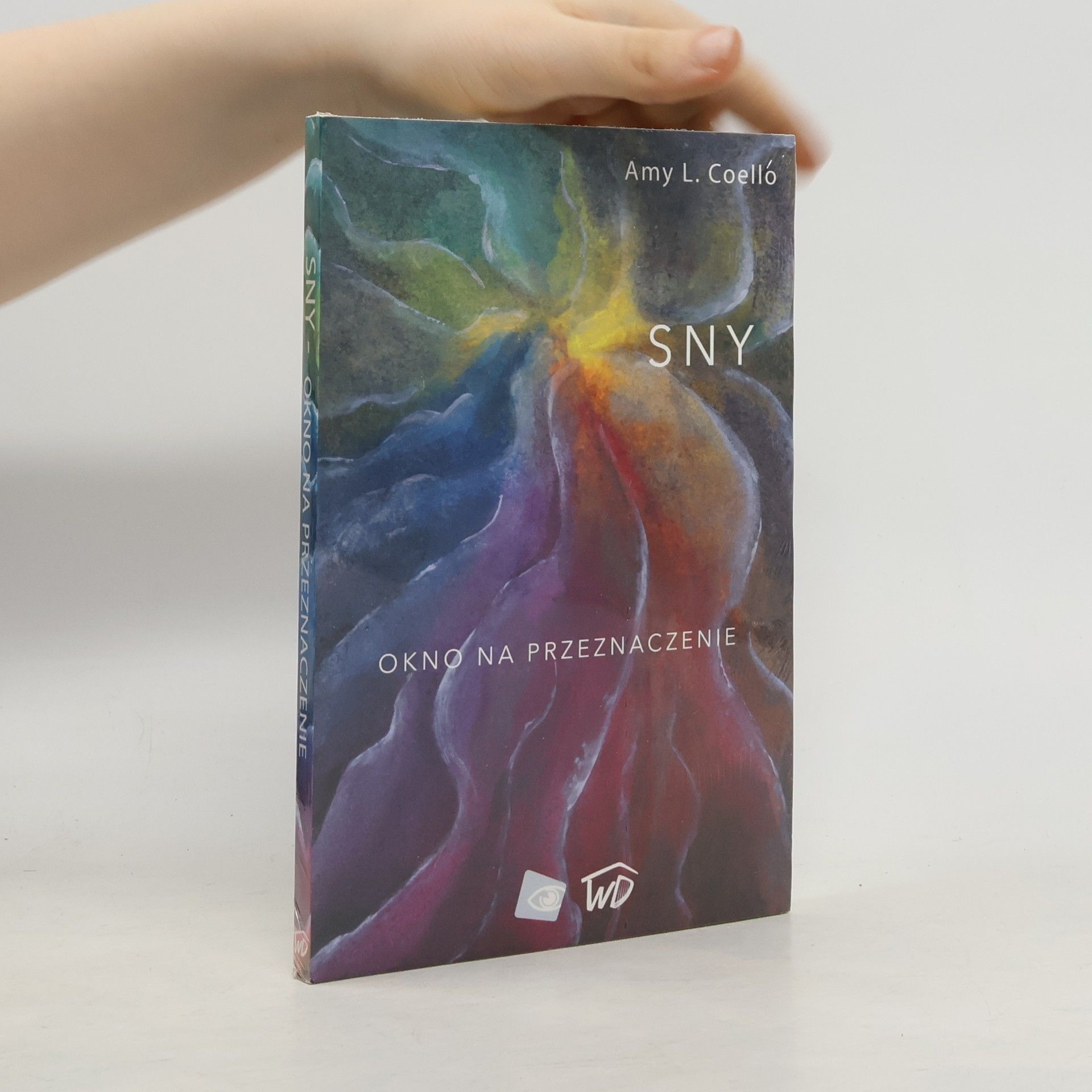 Amy L. Coello Sny. Okno na przeznaczenie