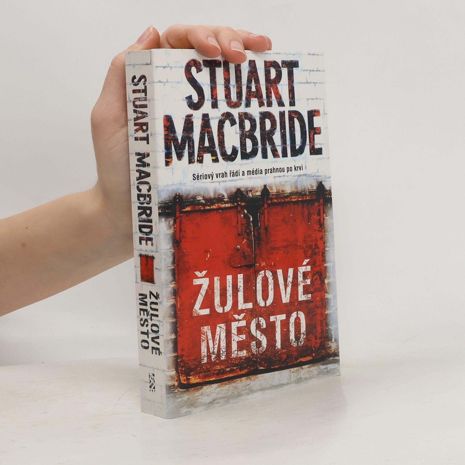 Stuart Macbride Žulové město