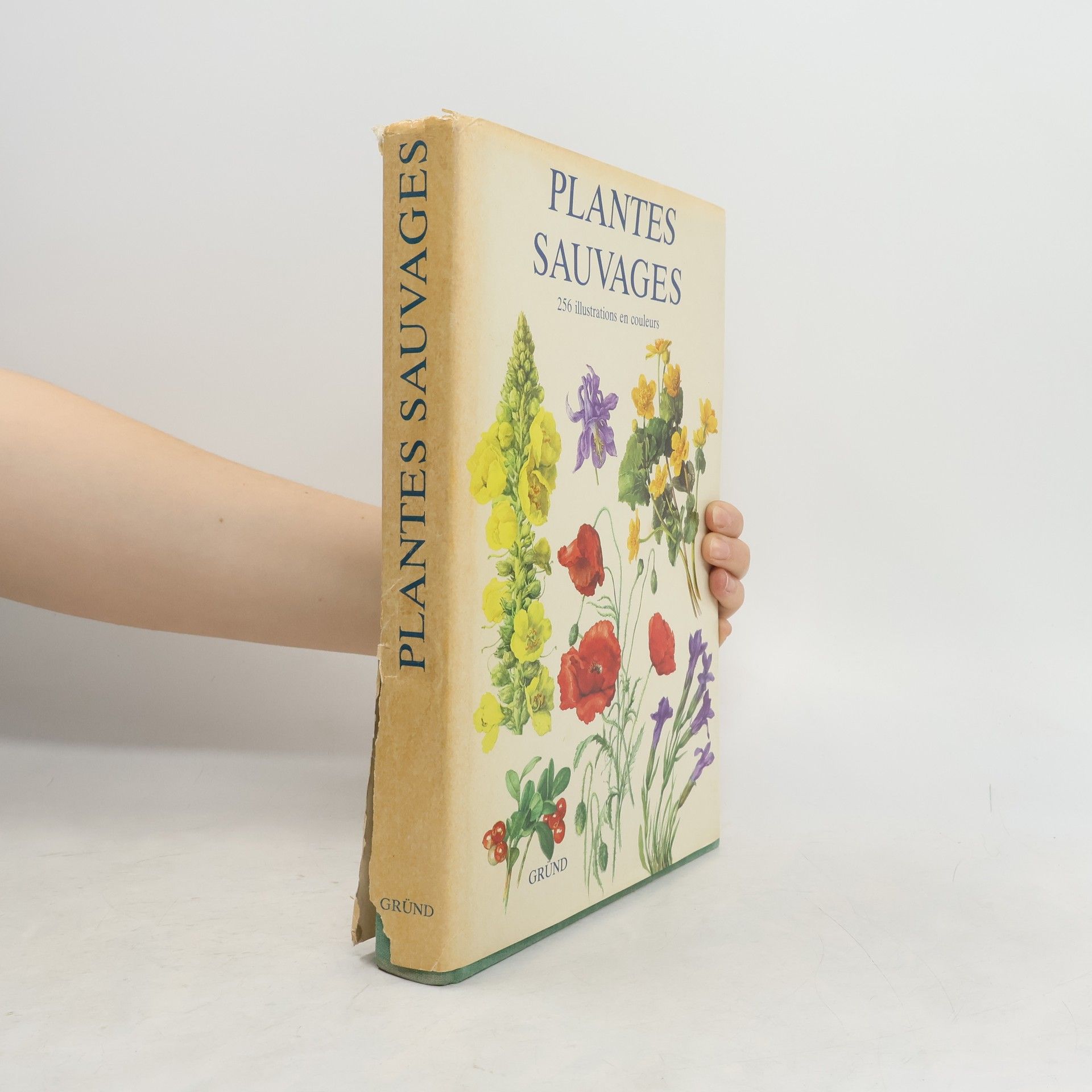 Eliška Tomanová Plantes sauvages