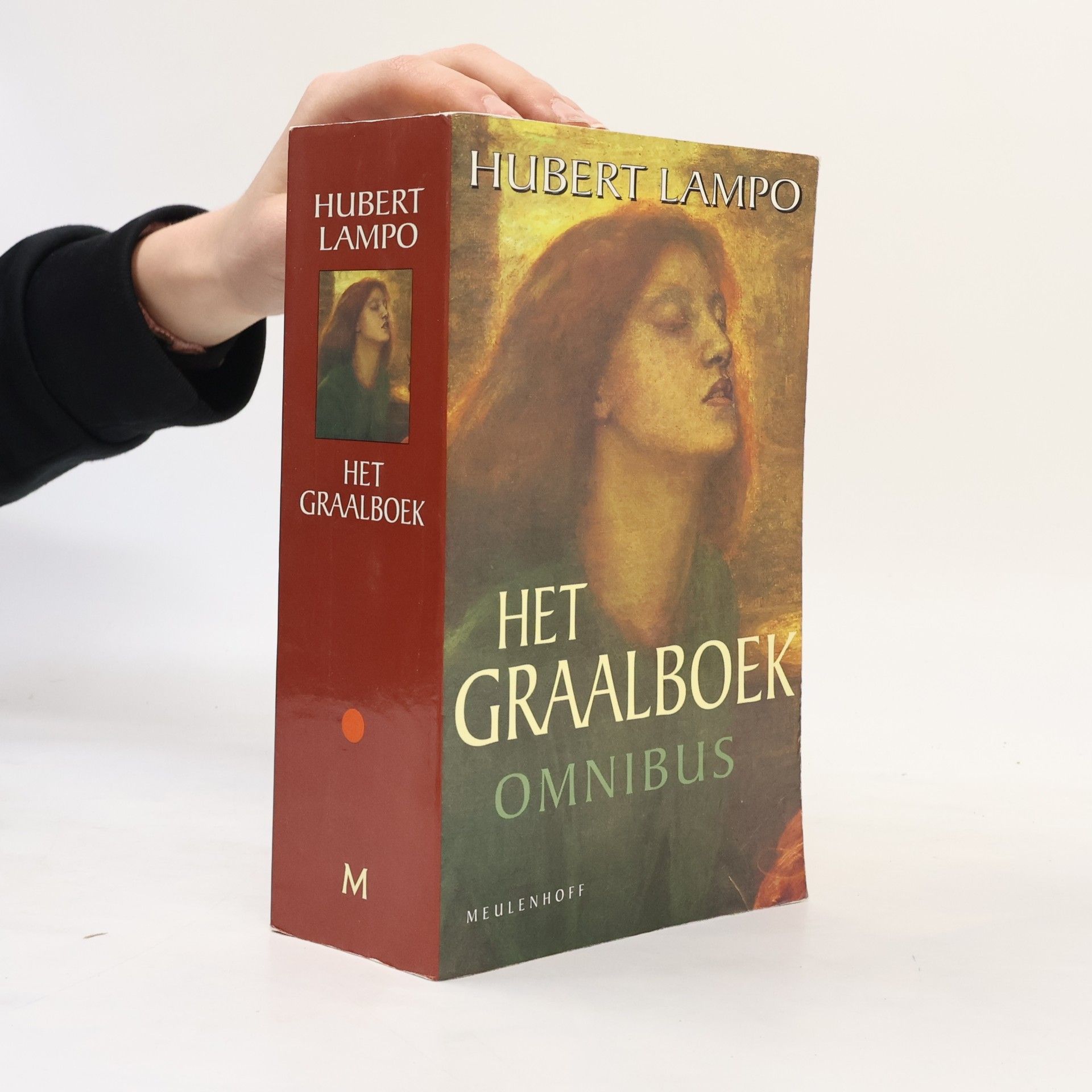 Hubert Leon Lampo Het Graalboek