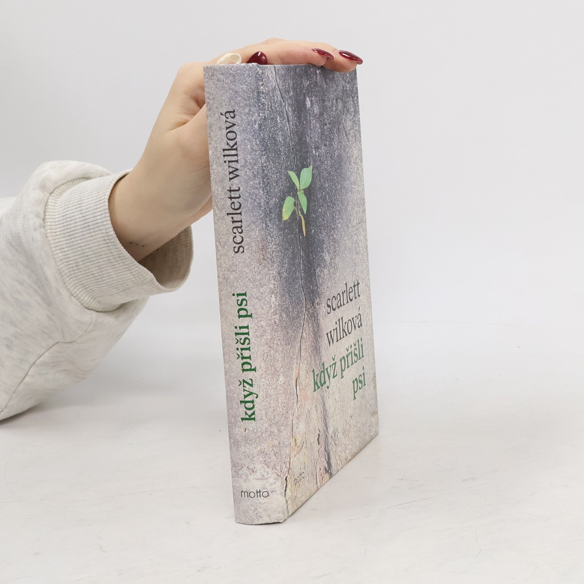 Scarlett Wilková Když přišli psi