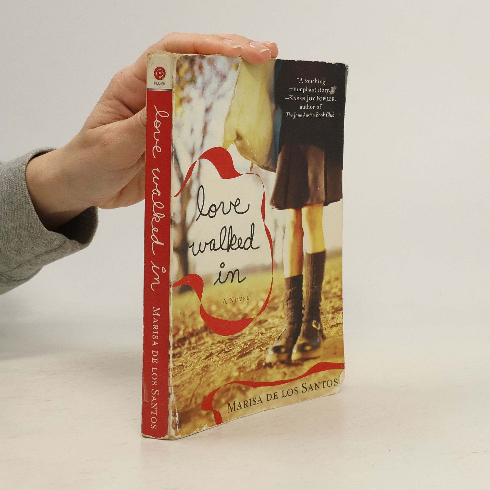 Marisa de los Santos Love Walked In