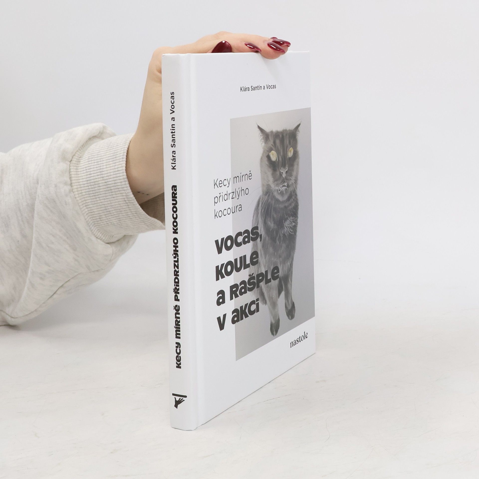 Klára Santin Kecy mírně přidrzlýho kocoura