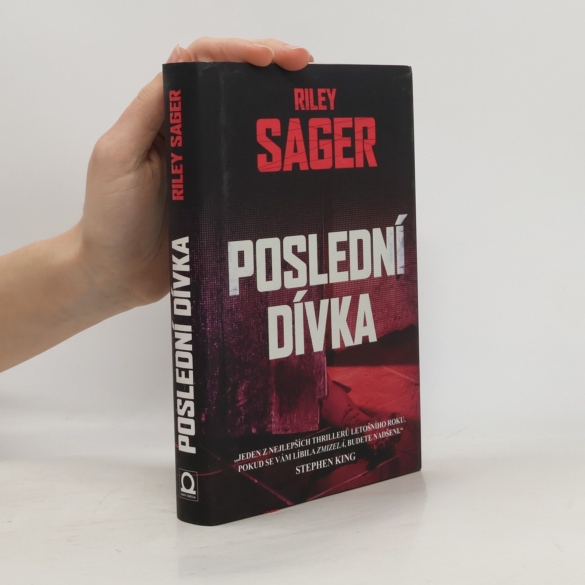 Todd Ritter Poslední dívka