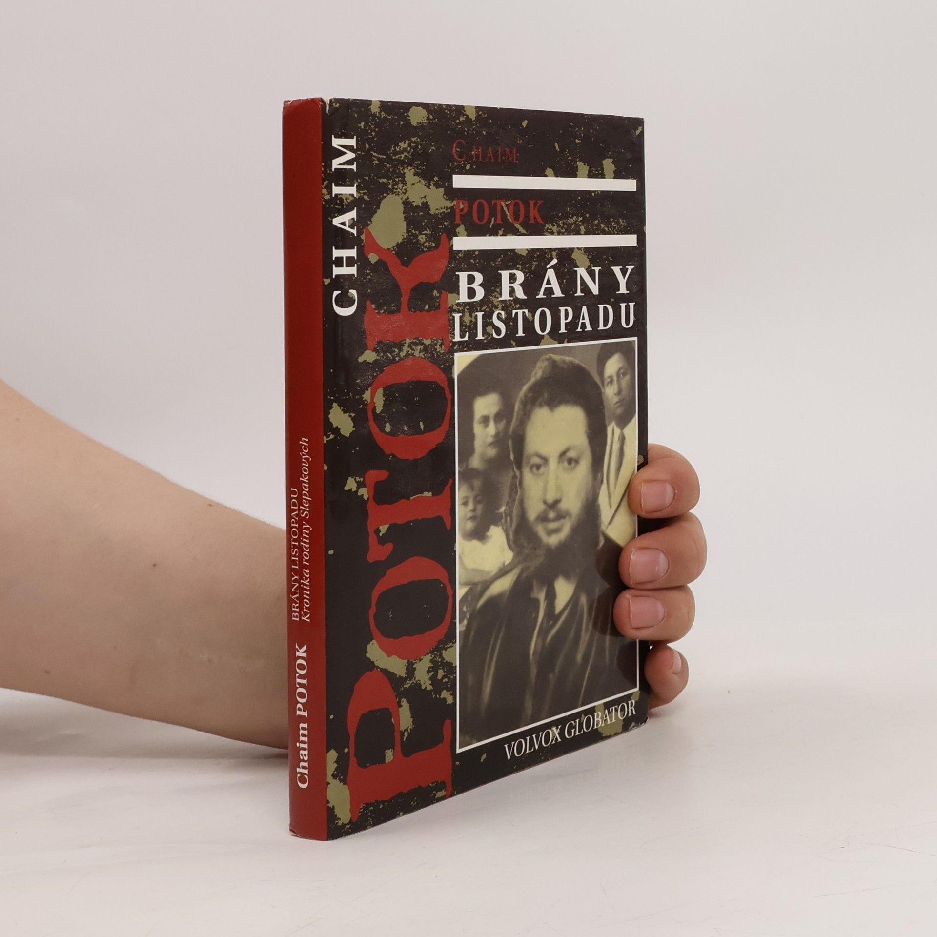 Chaim Potok Brány listopadu