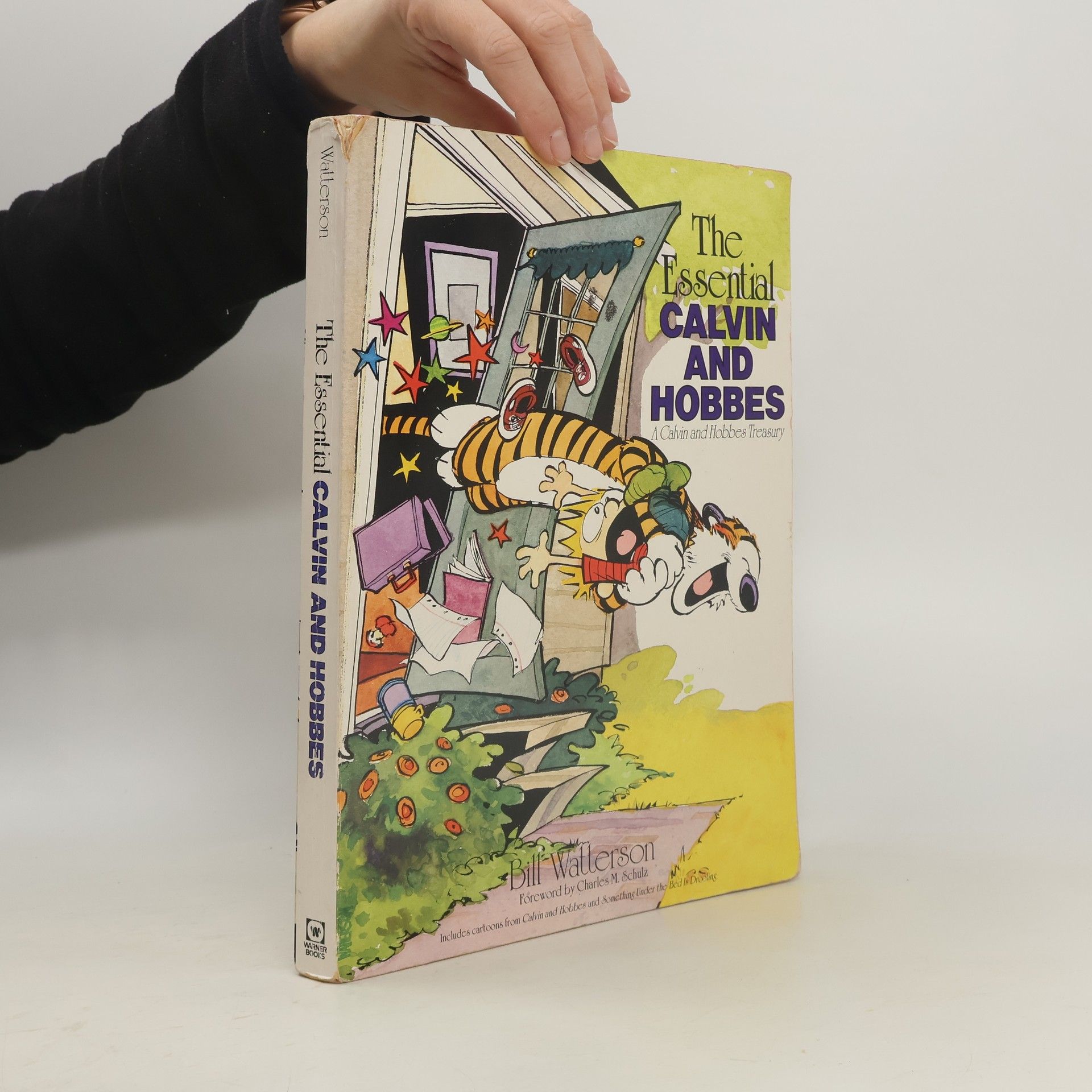 Bill Watterson The Essential Calvin and Hobbes