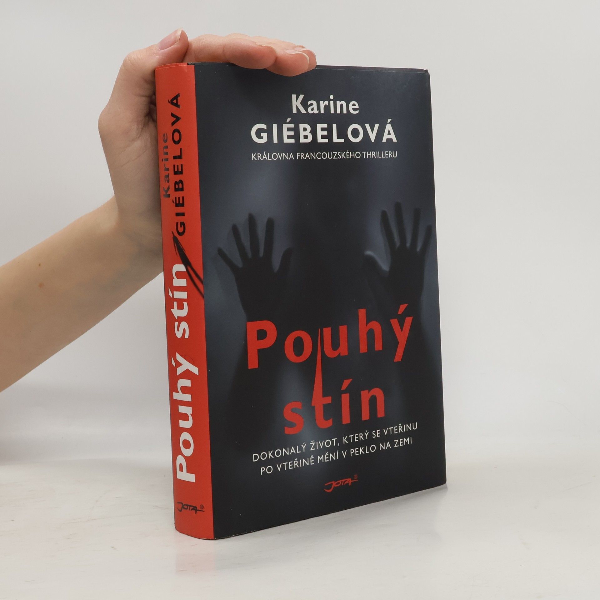 Karine Giebel Pouhý stín