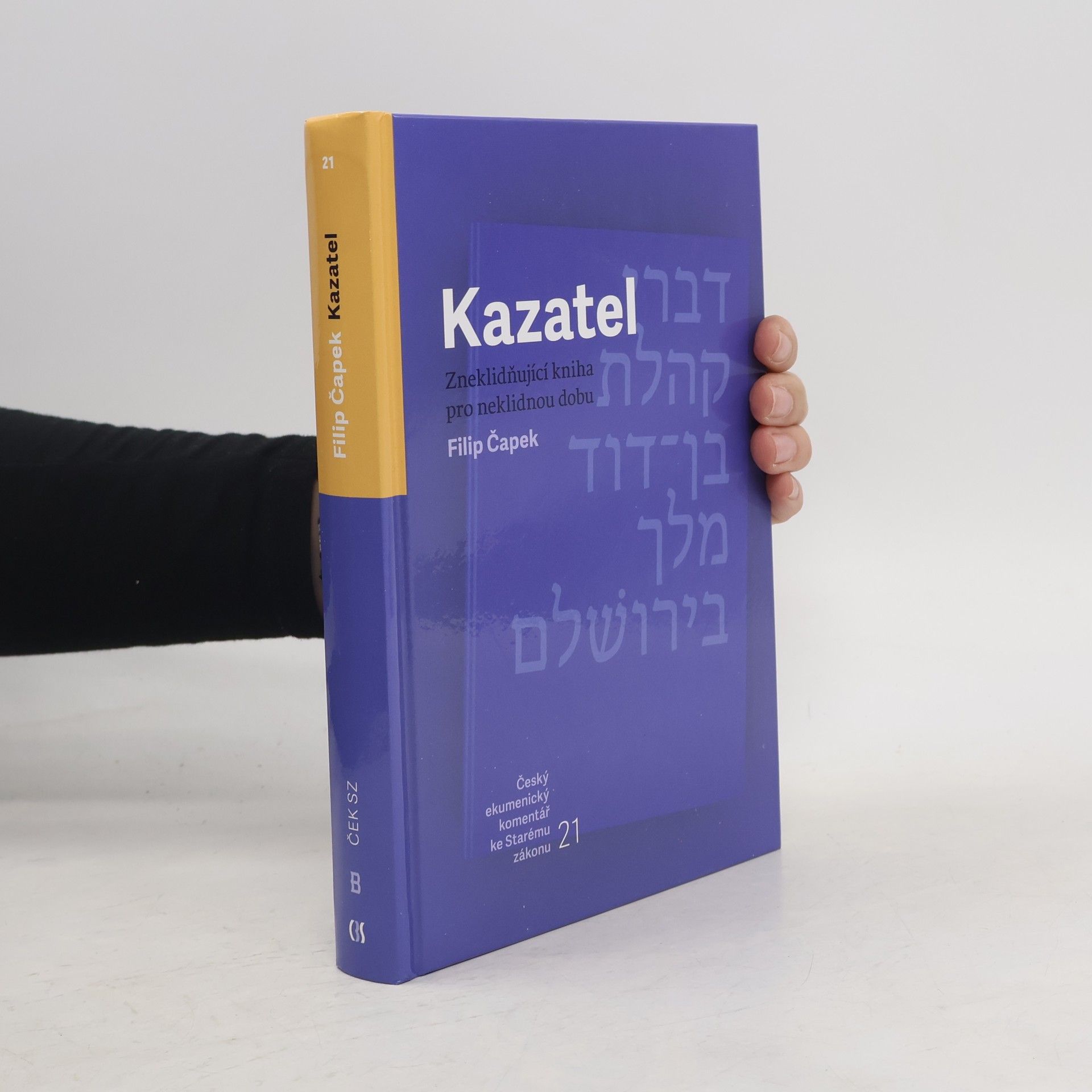 Filip Čapek Kazatel : Zneklidňující kniha pro neklidnou dobu