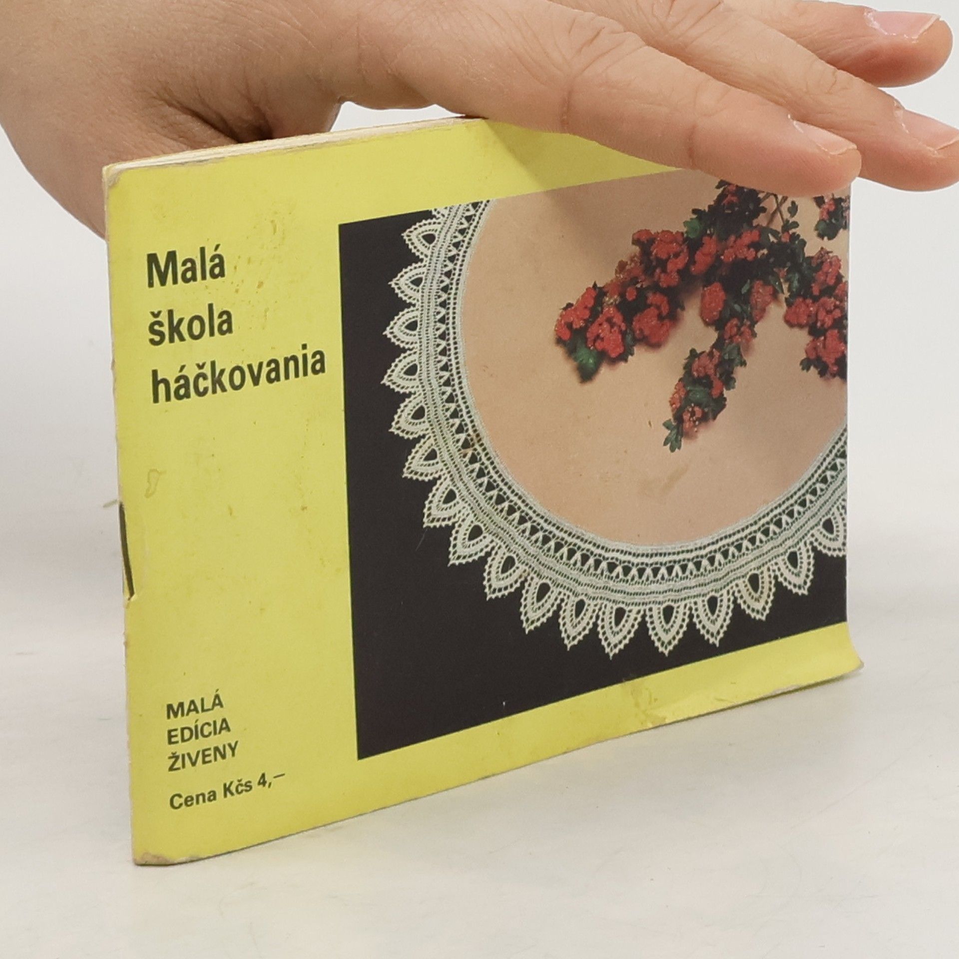 Agáta Hudáková Malá škola háčkovania