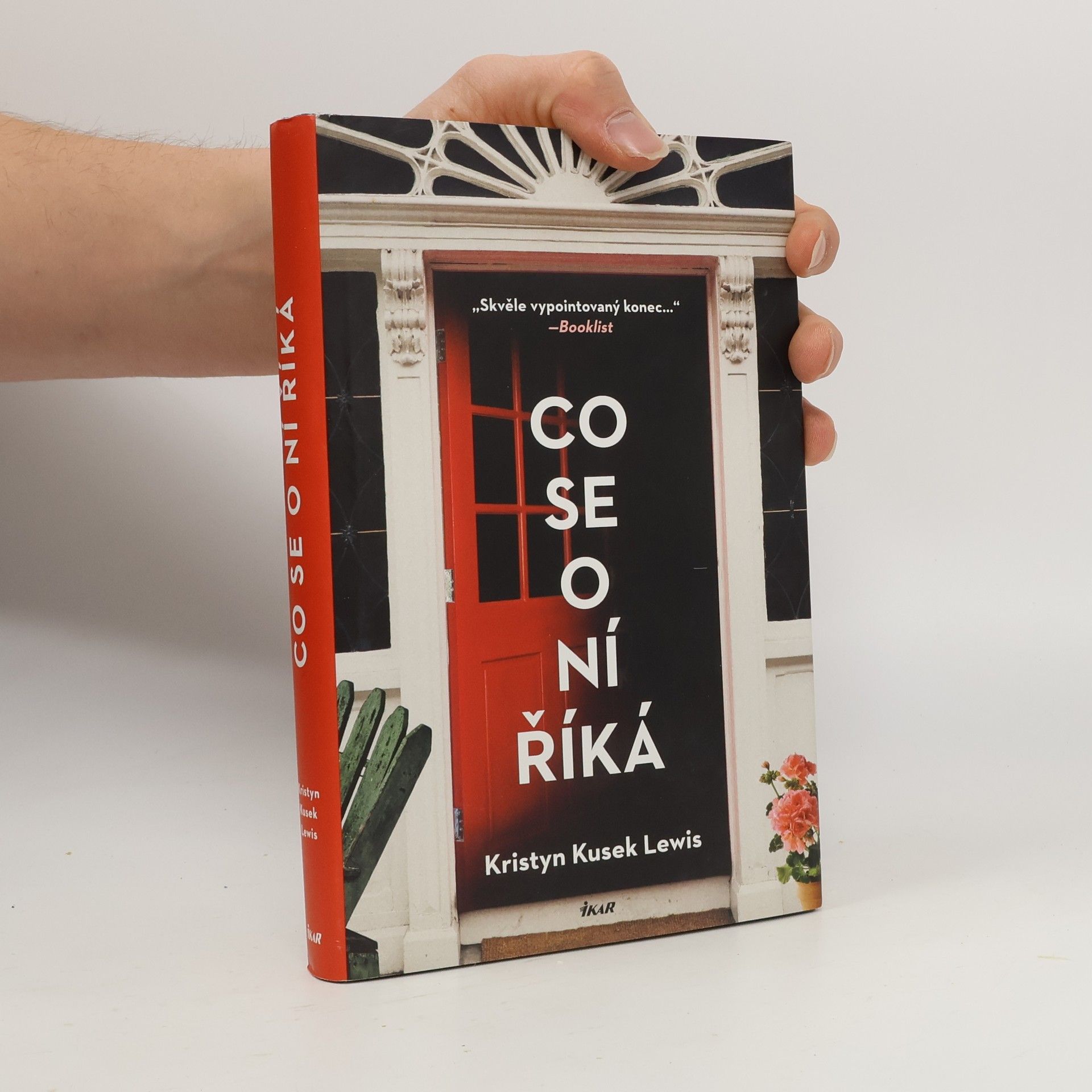 Kristyn Kusek Lewis Co se o ní říká