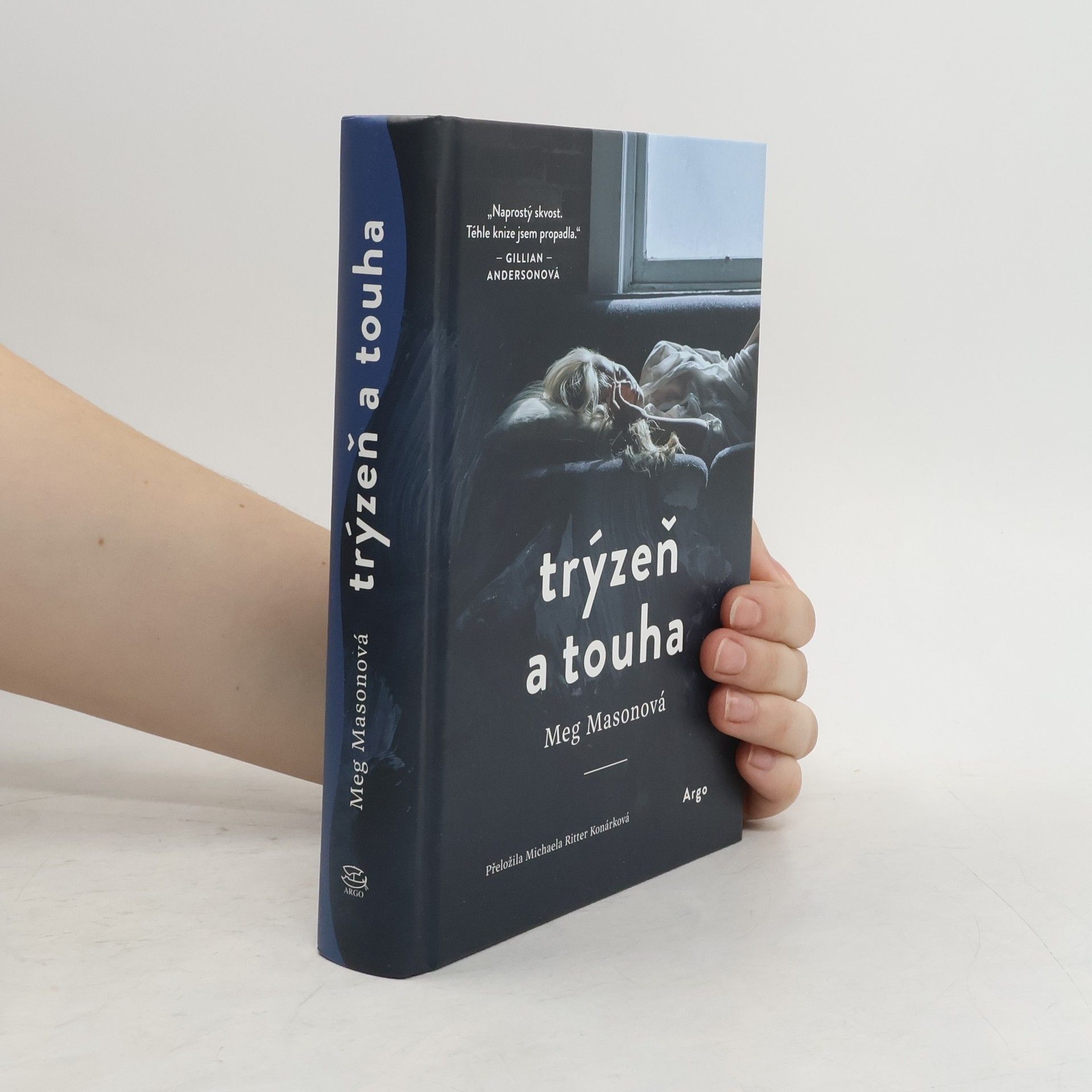 Meg Mason Trýzeň a touha