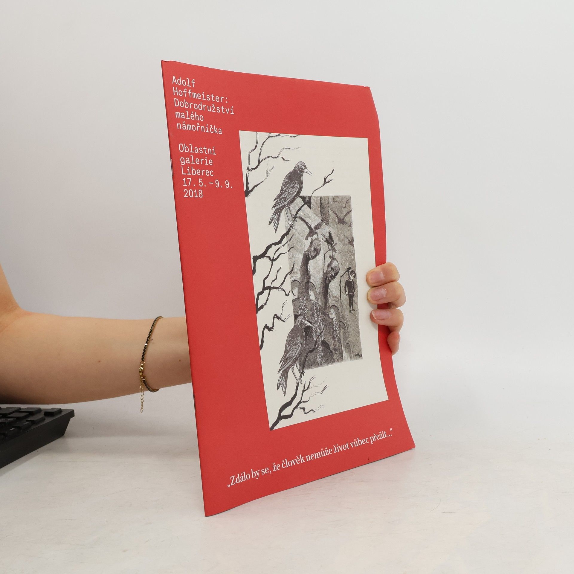 Dobrodružství malého námořníčka. Oblastní galerie Liberec, 17.5.-9.9.2018 Dobrodružství malého námořníčka - Adolf Hoffmeister