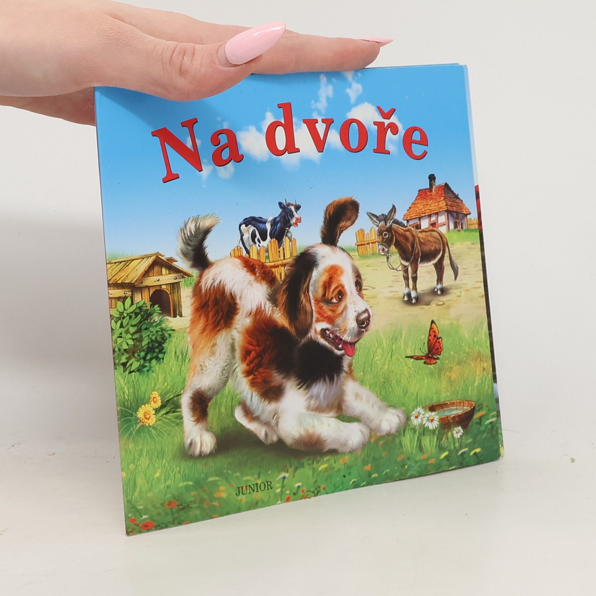 Zuzana Pospíšilová Na dvoře