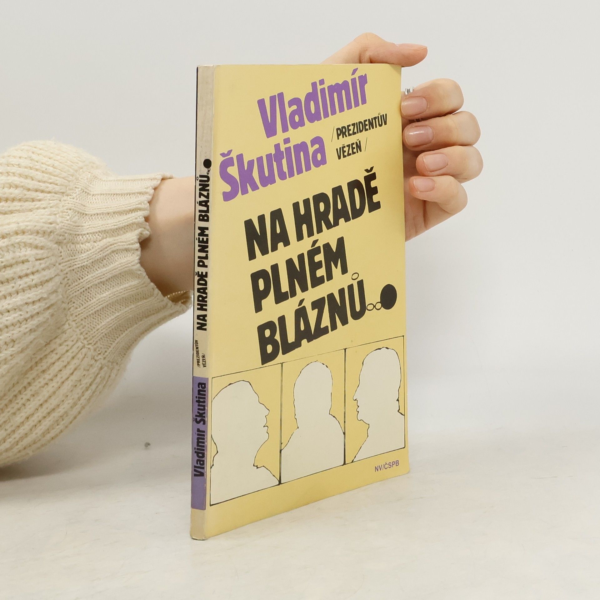 Vladimír Škutina Na hradě plném bláznů