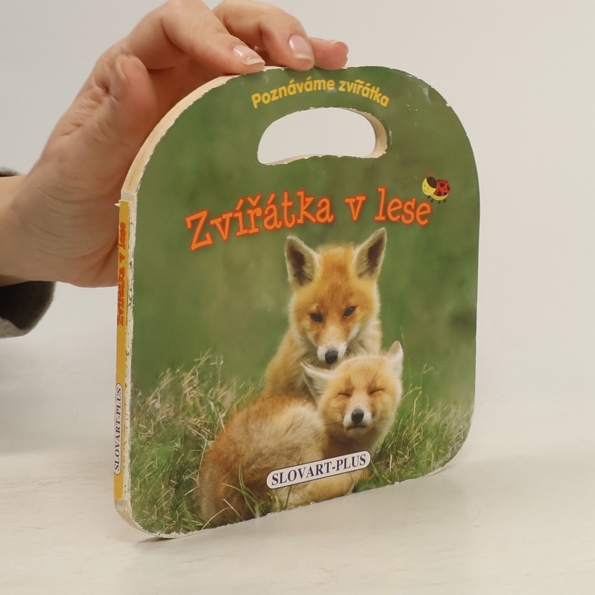 Autorenkollektiv Zvířatka v lese - poznáváme zvířatka