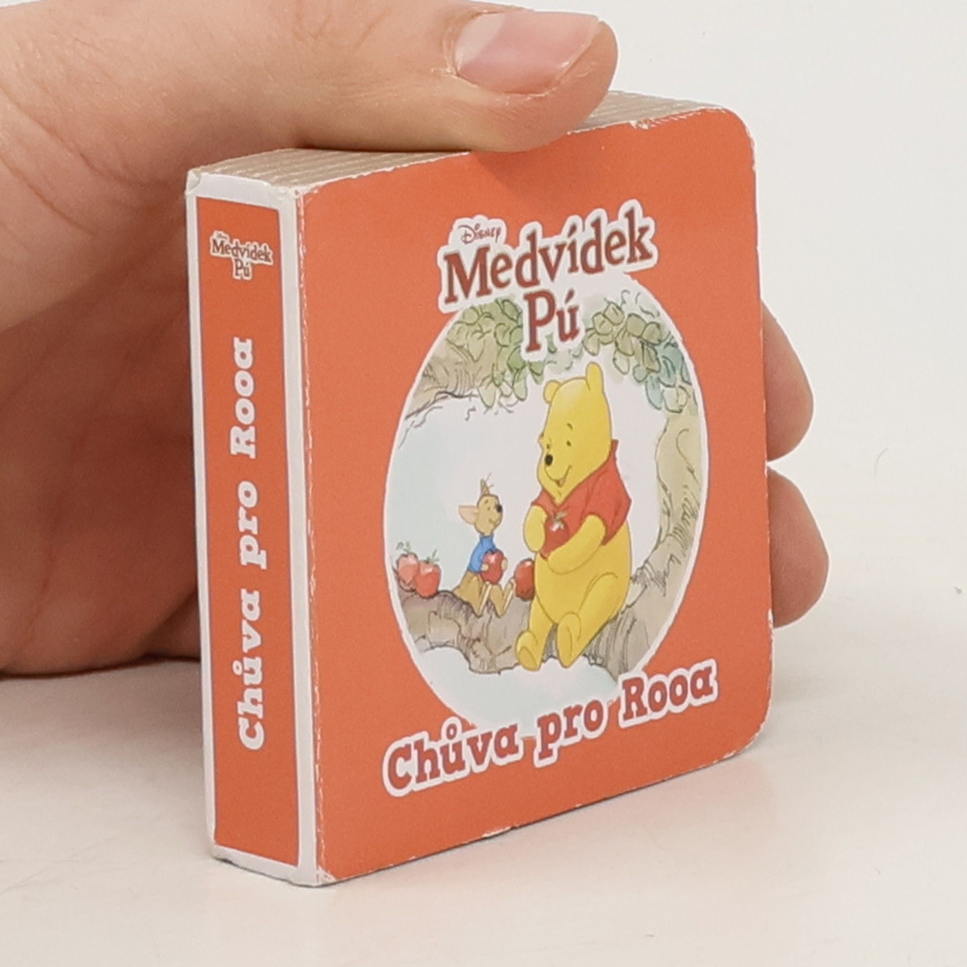 Various authors Medvídek Pú : Chůva pro Rooa