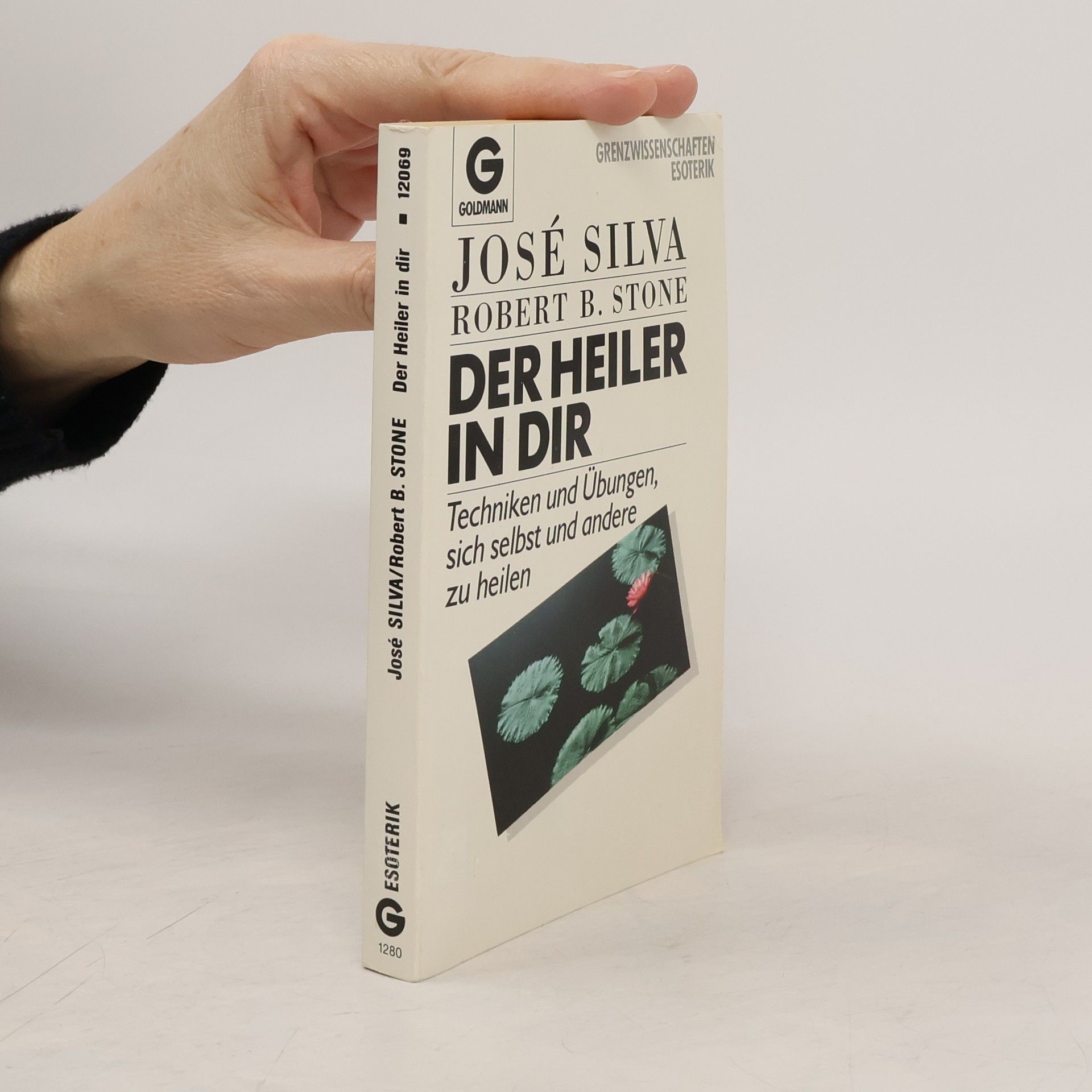 José Silva Der Heiler in dir
