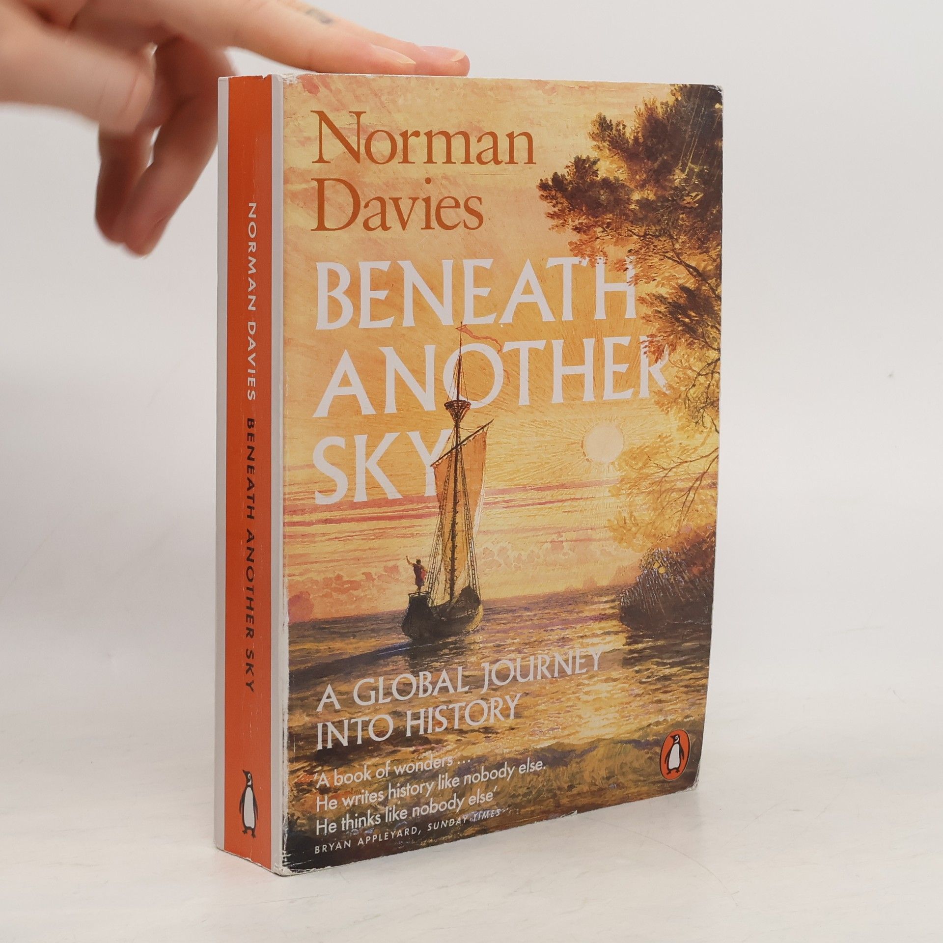 Norman Davies Beneath Another Sky: A Global Journey into History