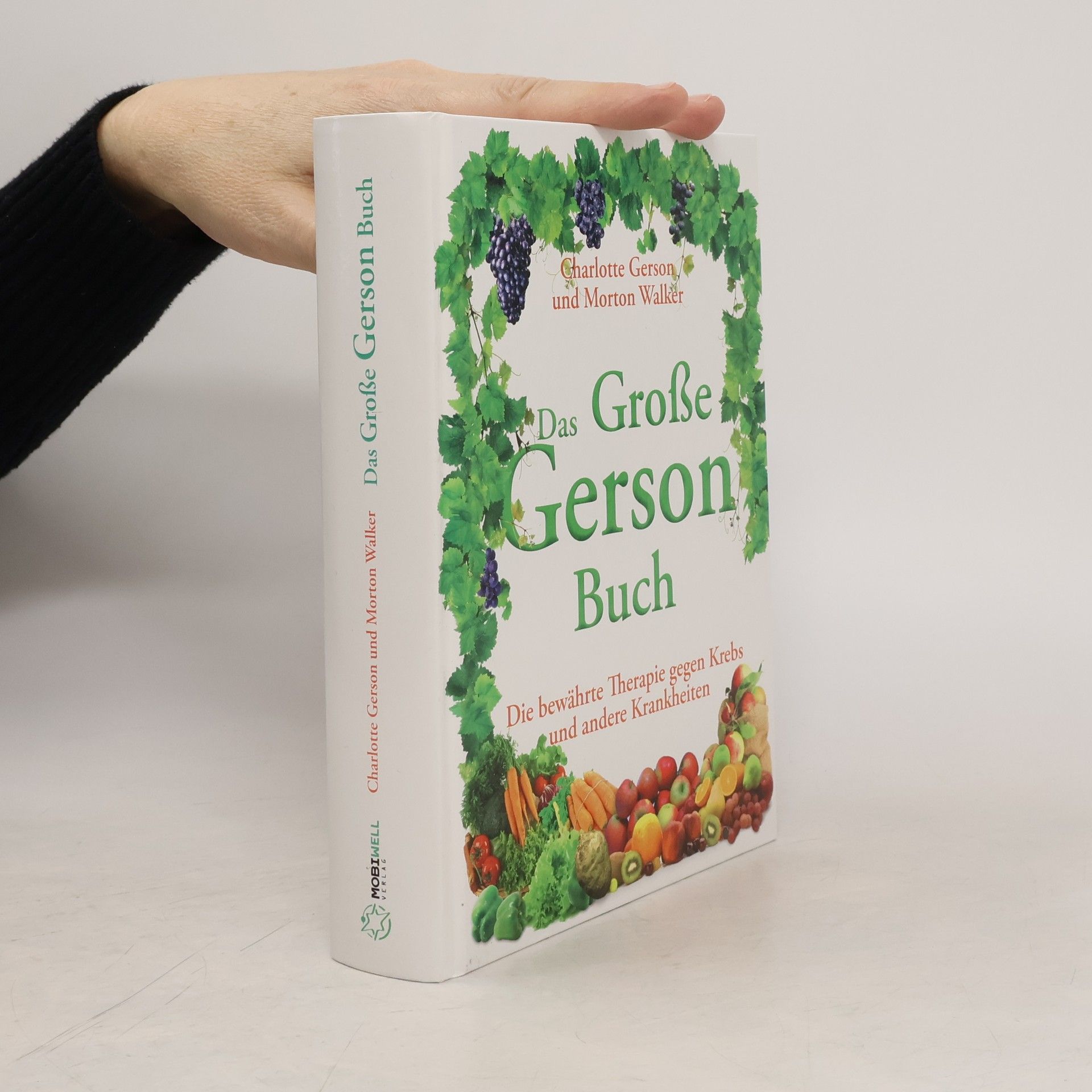 Charlotte Gerson Das Große Gerson Buch
