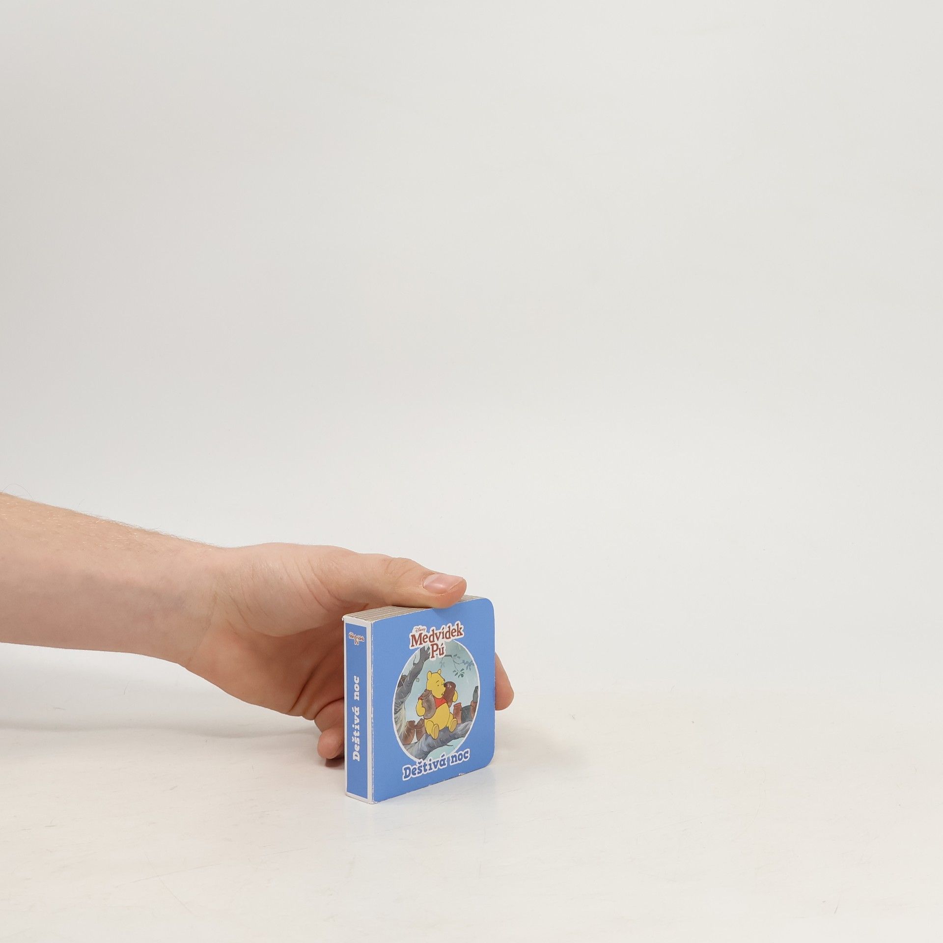 Various authors Medvídek Pú: Deštivá noc