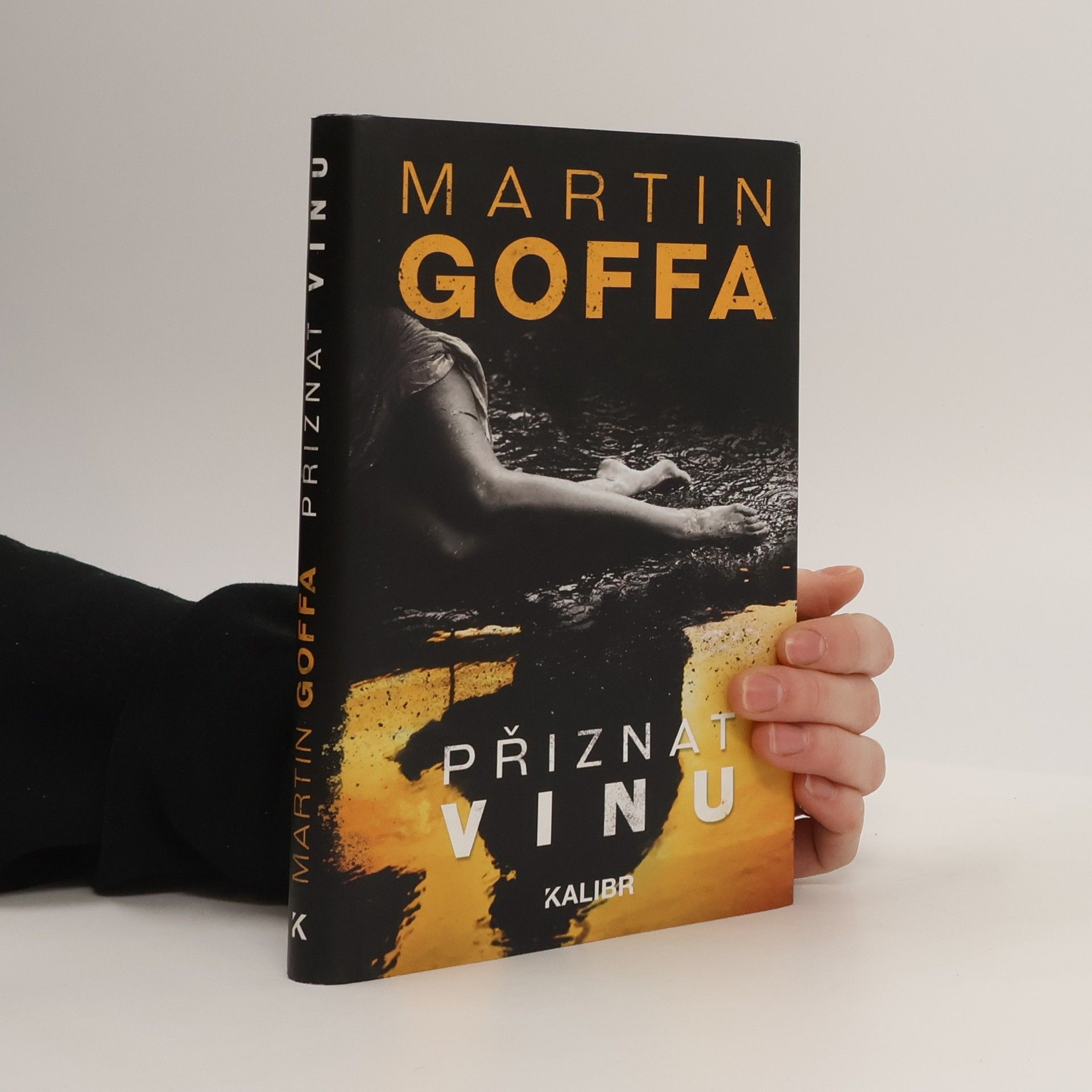 Martin Goffa Přiznat vinu