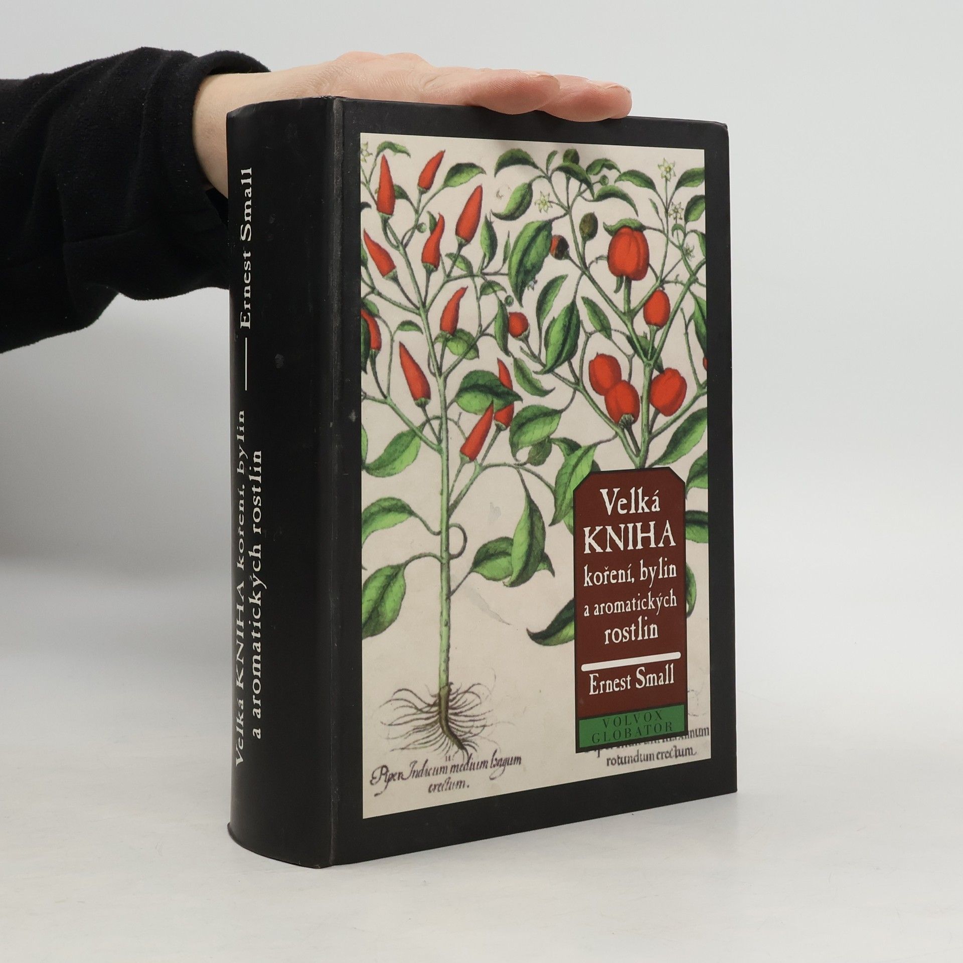 Ernest Small Velká kniha koření, bylin a aromatických rostlin