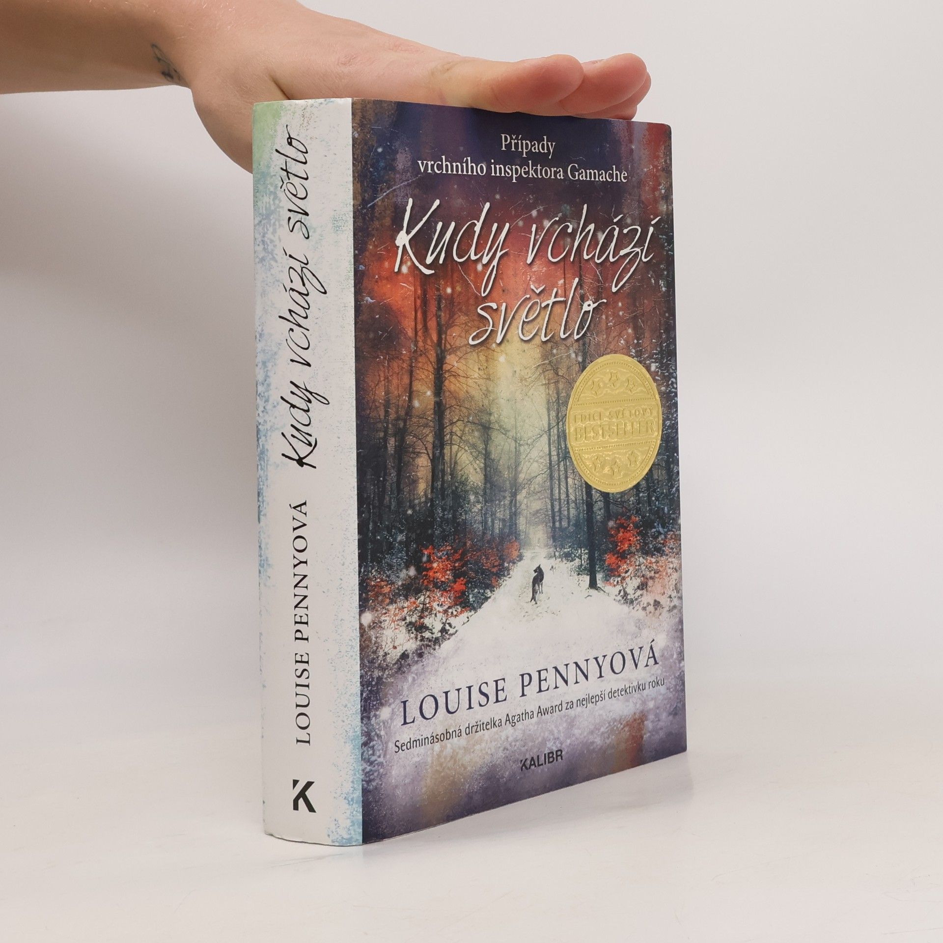 Louise Penny Kudy vchází světlo