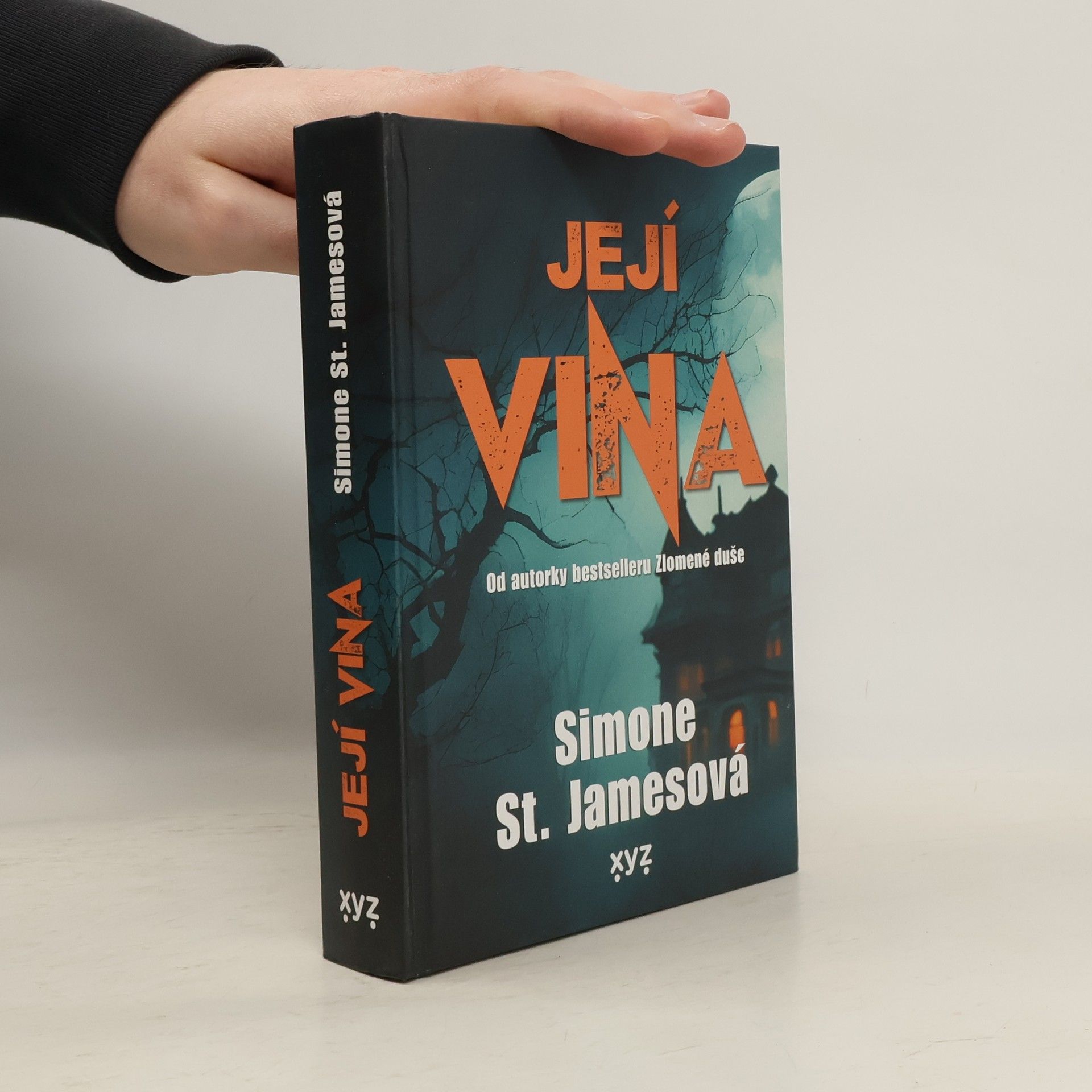 Simone St. James Její vina