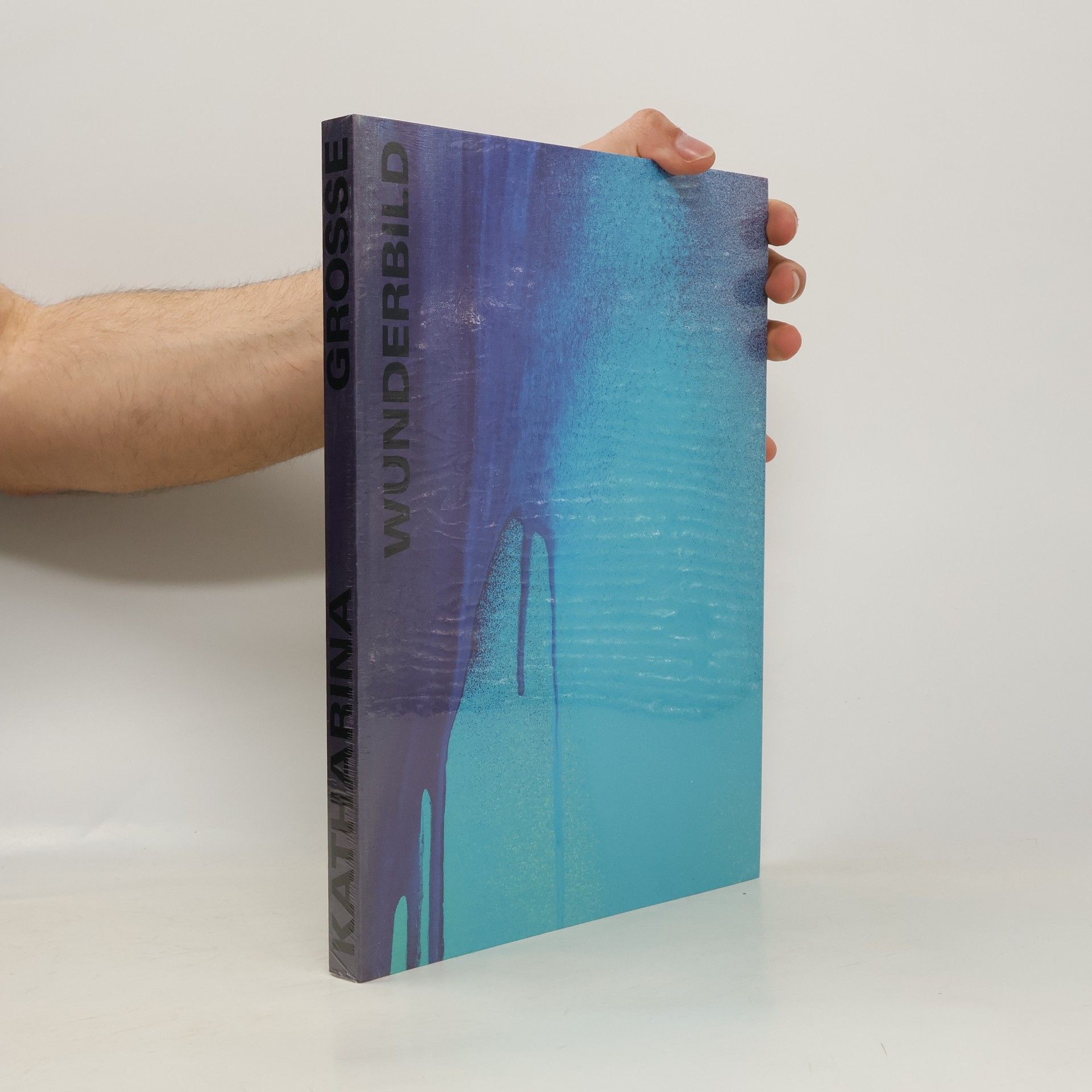 Katharina Grosse Wunderbild