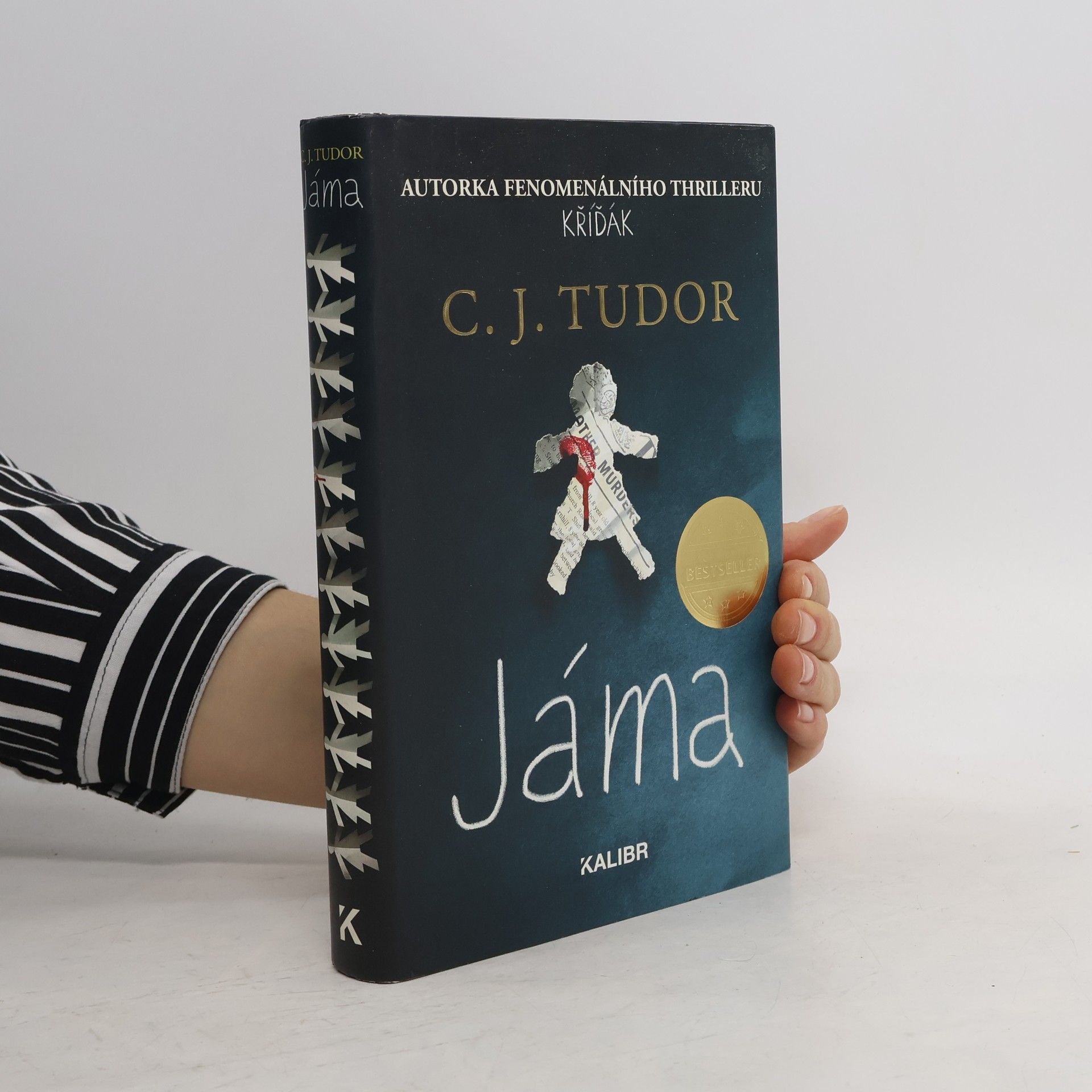 C. J. Tudor Jáma
