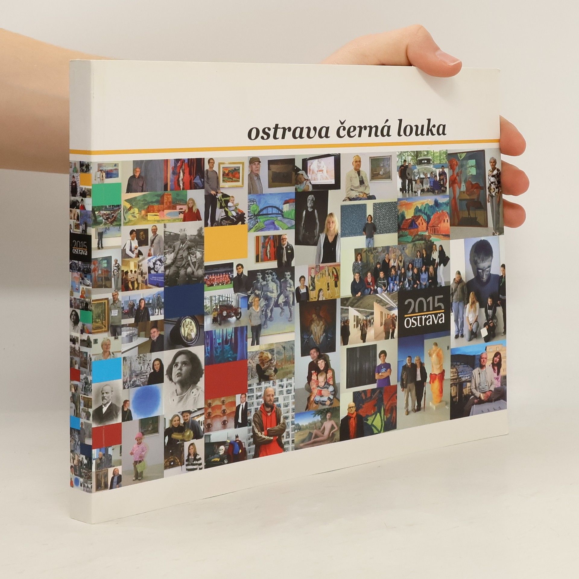 Collectif d'auteurs Ostrava černá louka