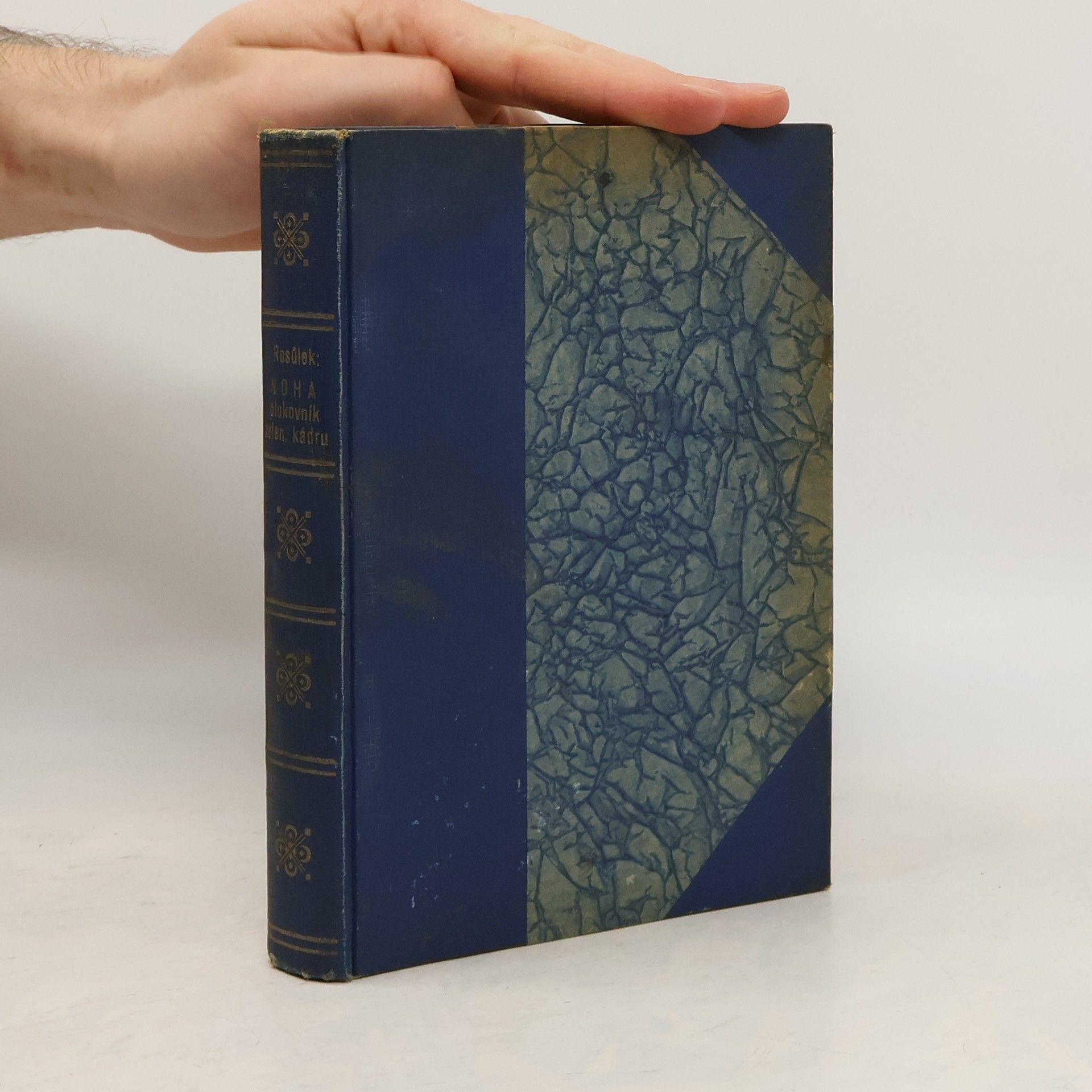 Noha, plukovník zeleného kádru