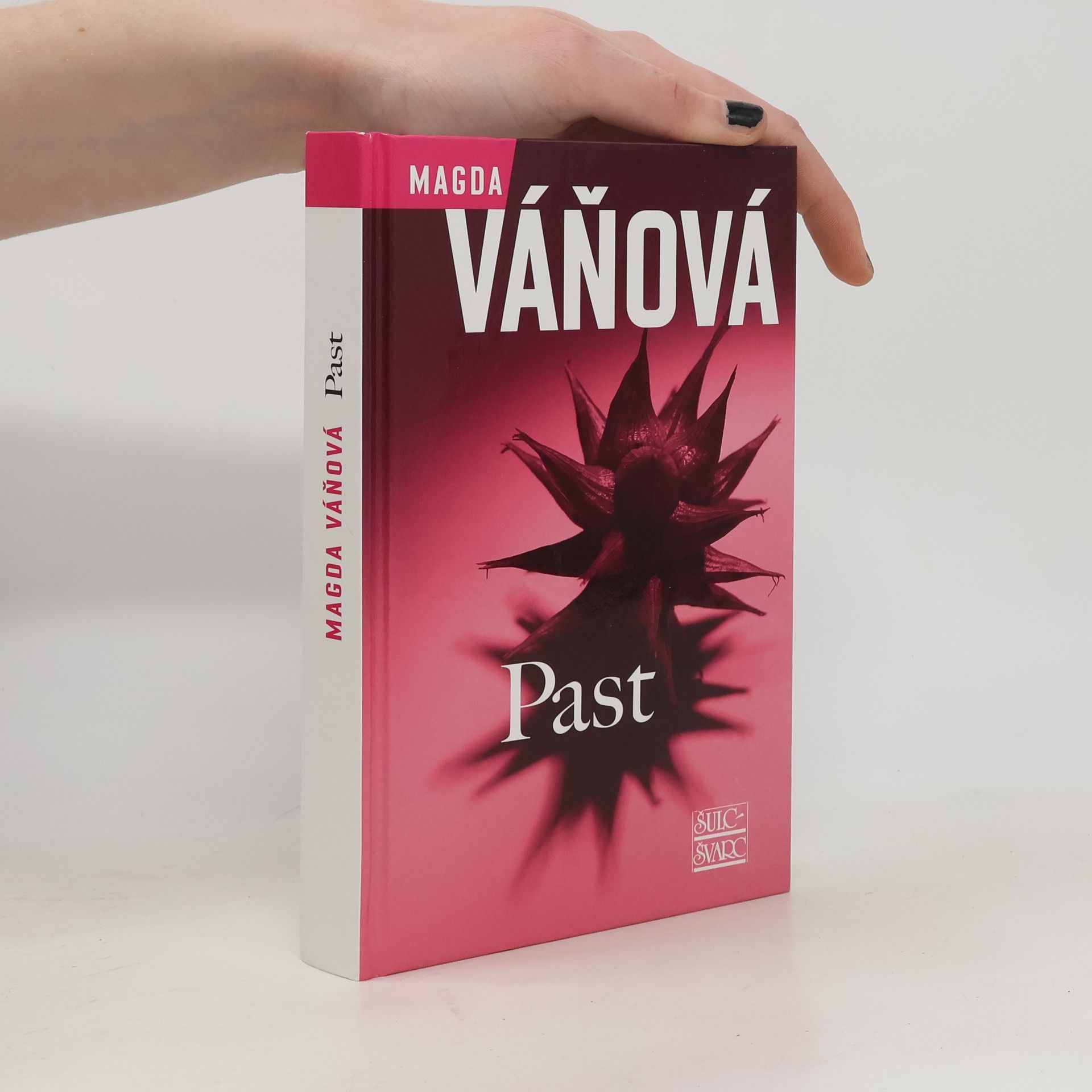 Magda Váňová Past