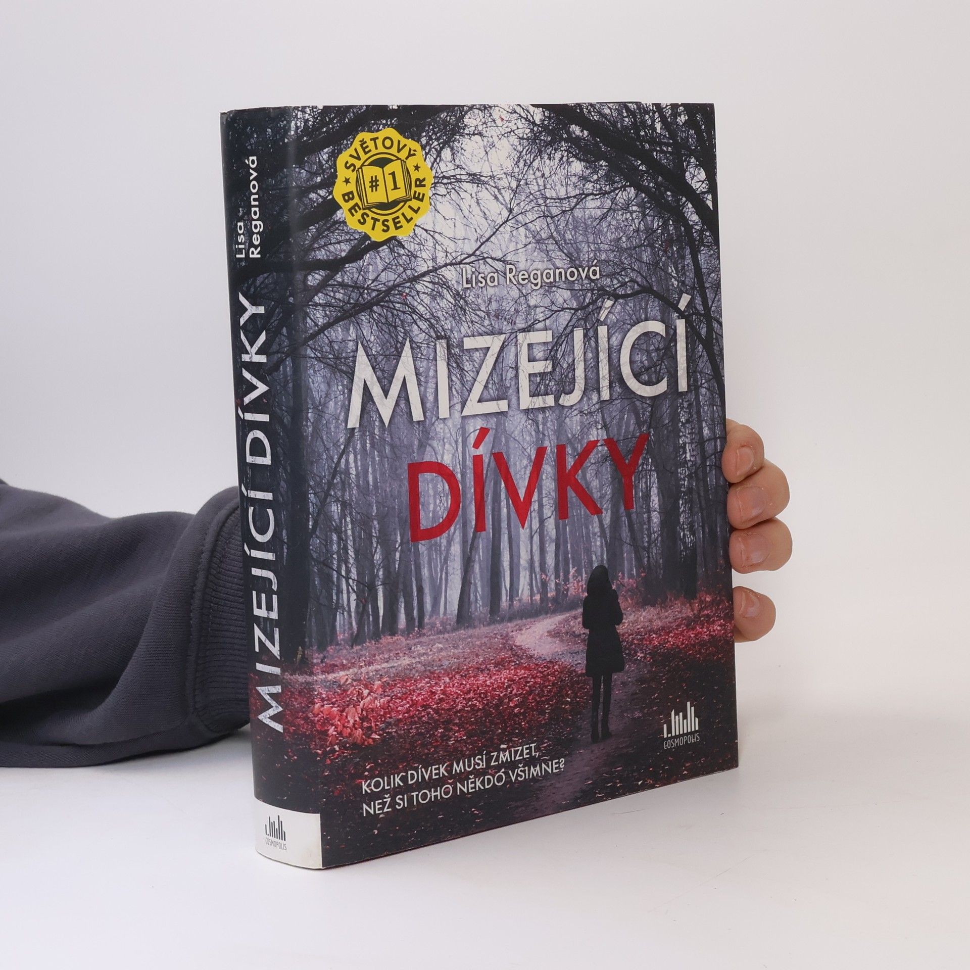 Lisa Regan Mizející dívky