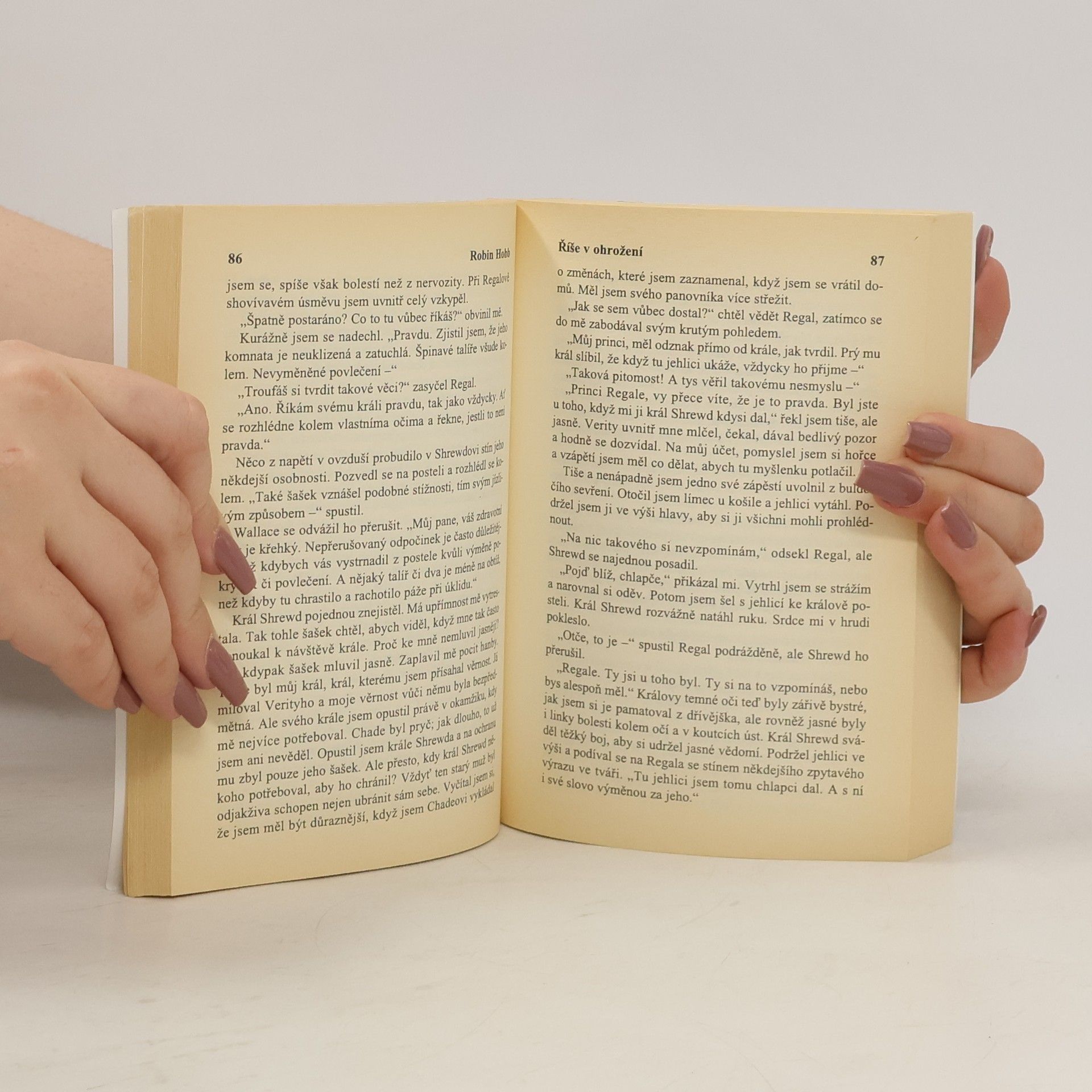 Robin Hobb Říše v ohrožení