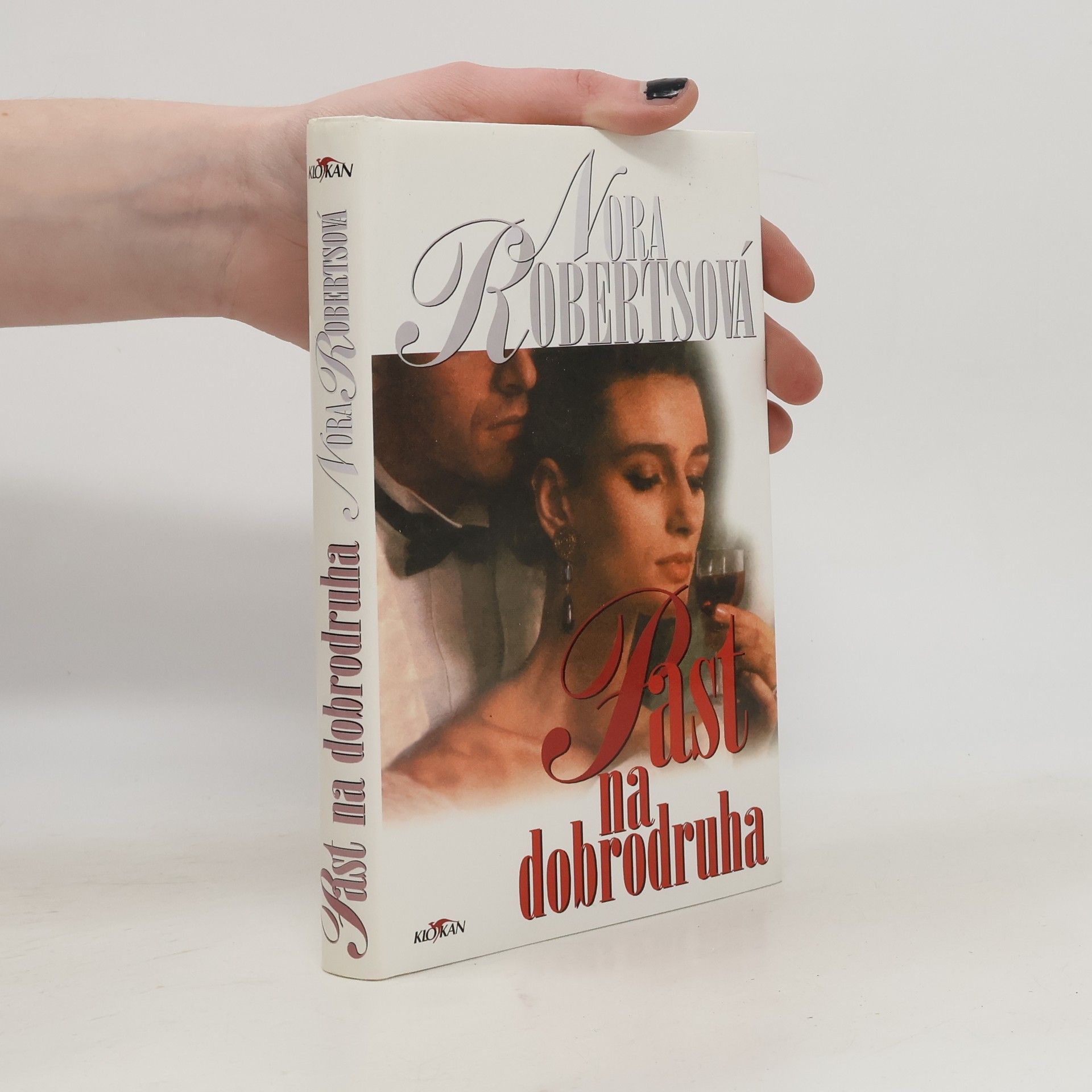 Nora Roberts Past na dobrodruha