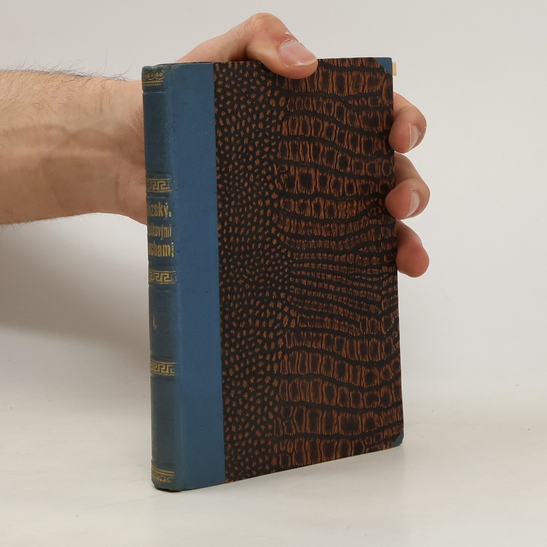 Alois Vojtěch Šmilovský Pod doškovými střechami