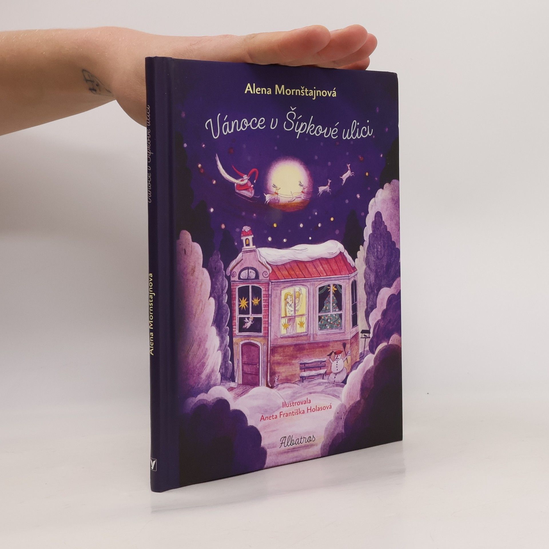Alena Mornštajnová Vánoce v Šípkové ulici