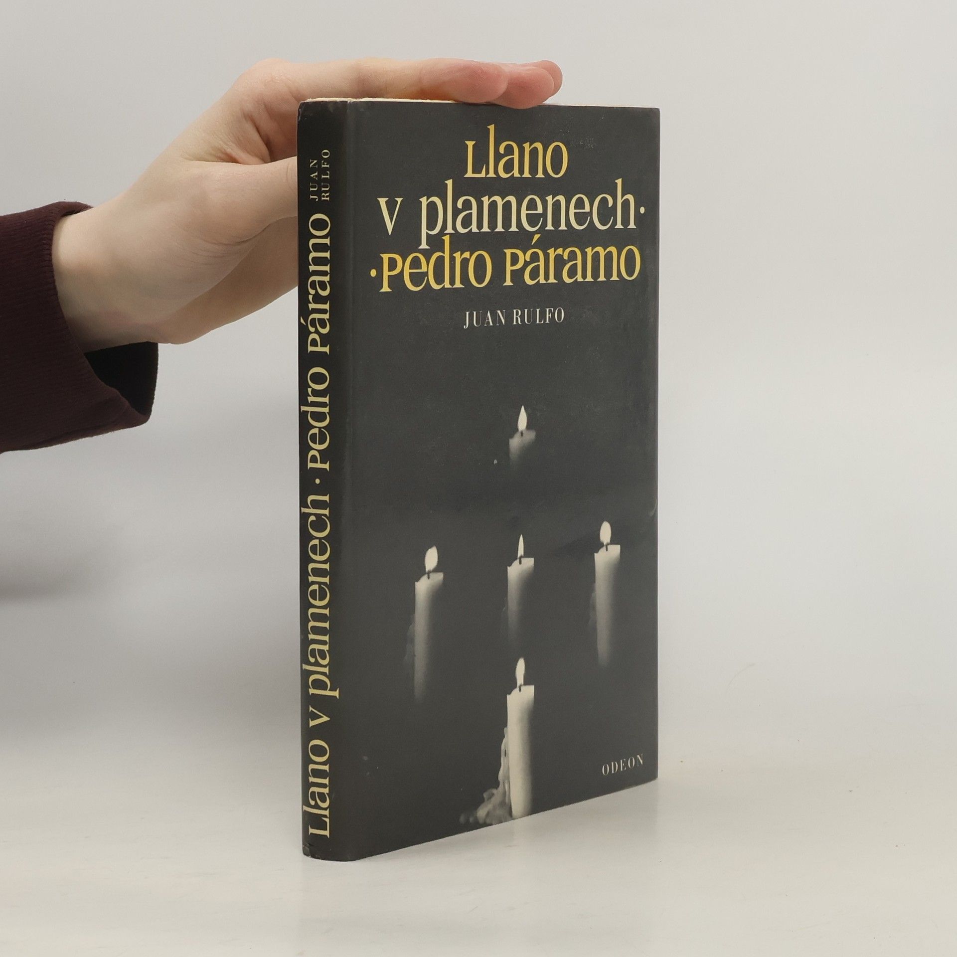 Juan Rulfo Llano v plamenech. Pedro Páramo